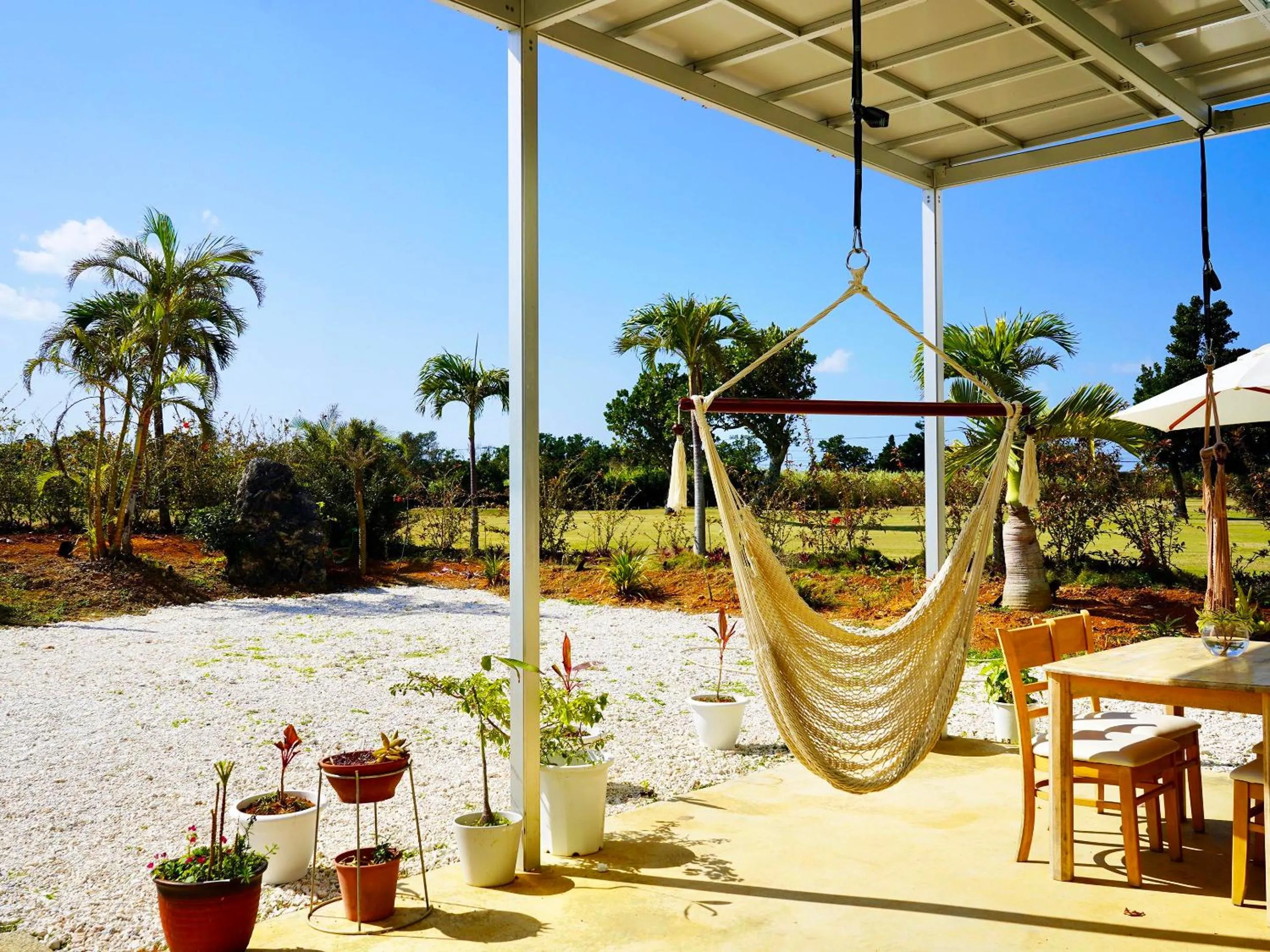 Garden in Guesthouse Koa