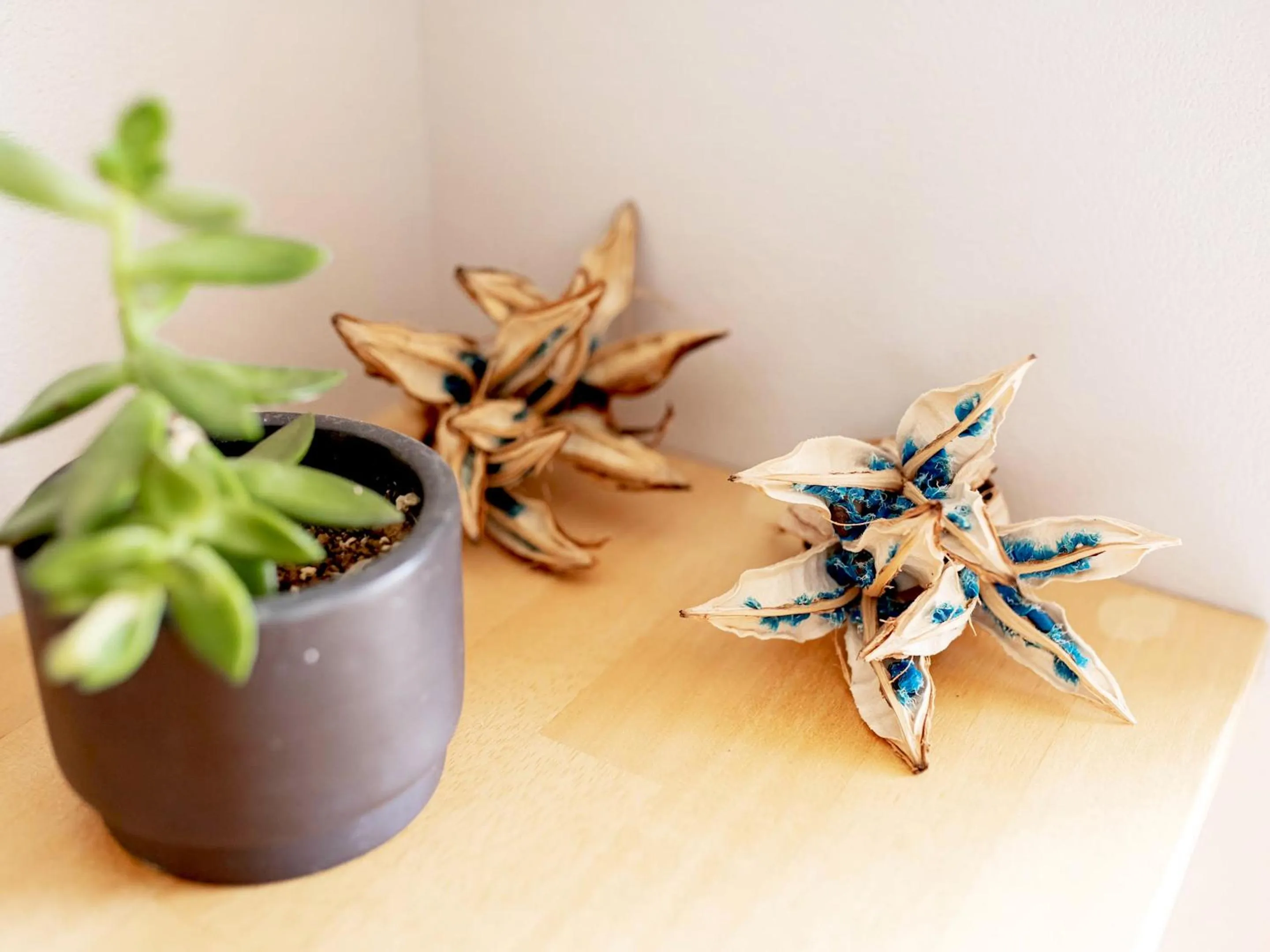 Decorative detail in Guesthouse Koa