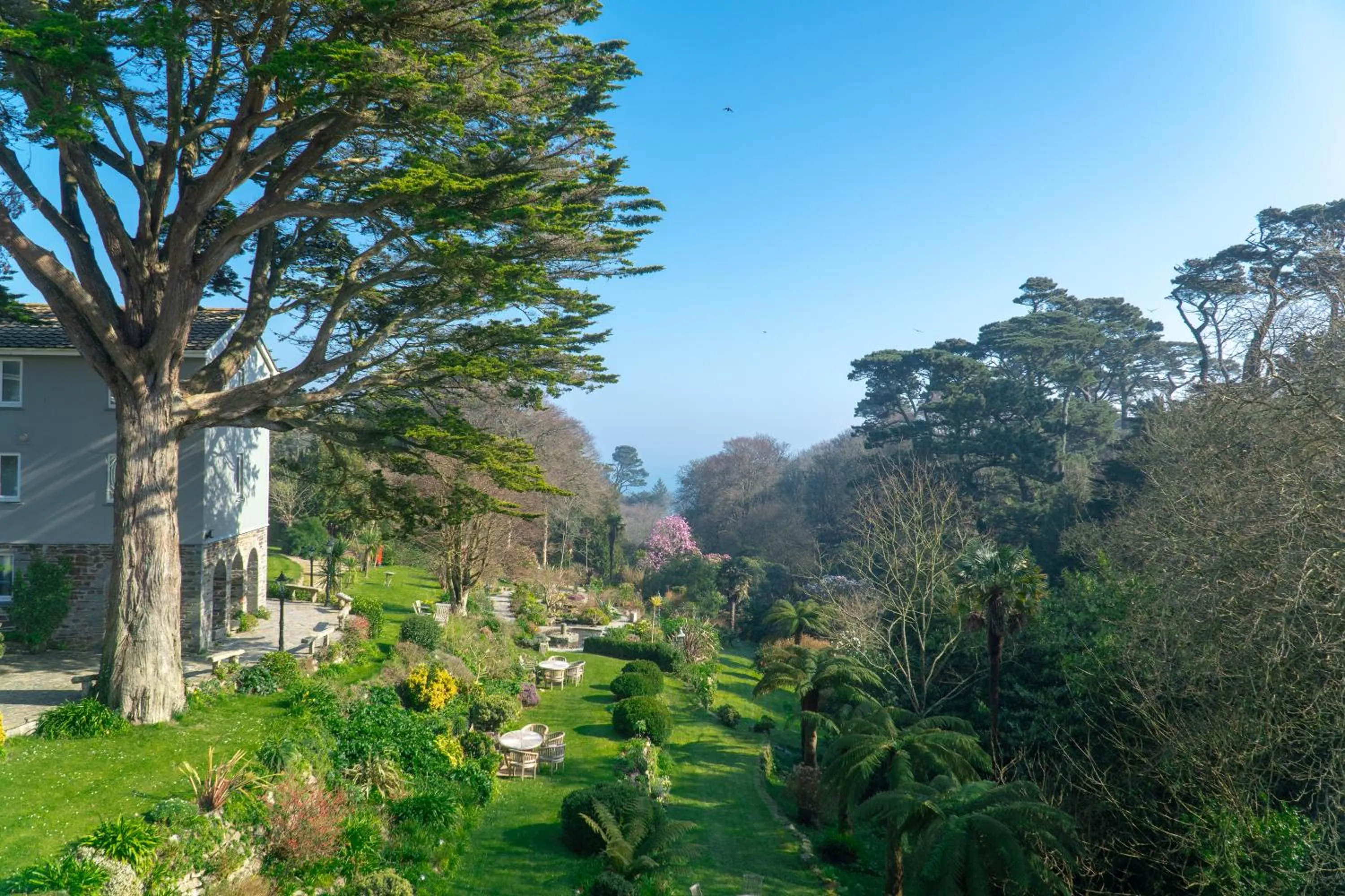 Natural landscape in Hotel Meudon