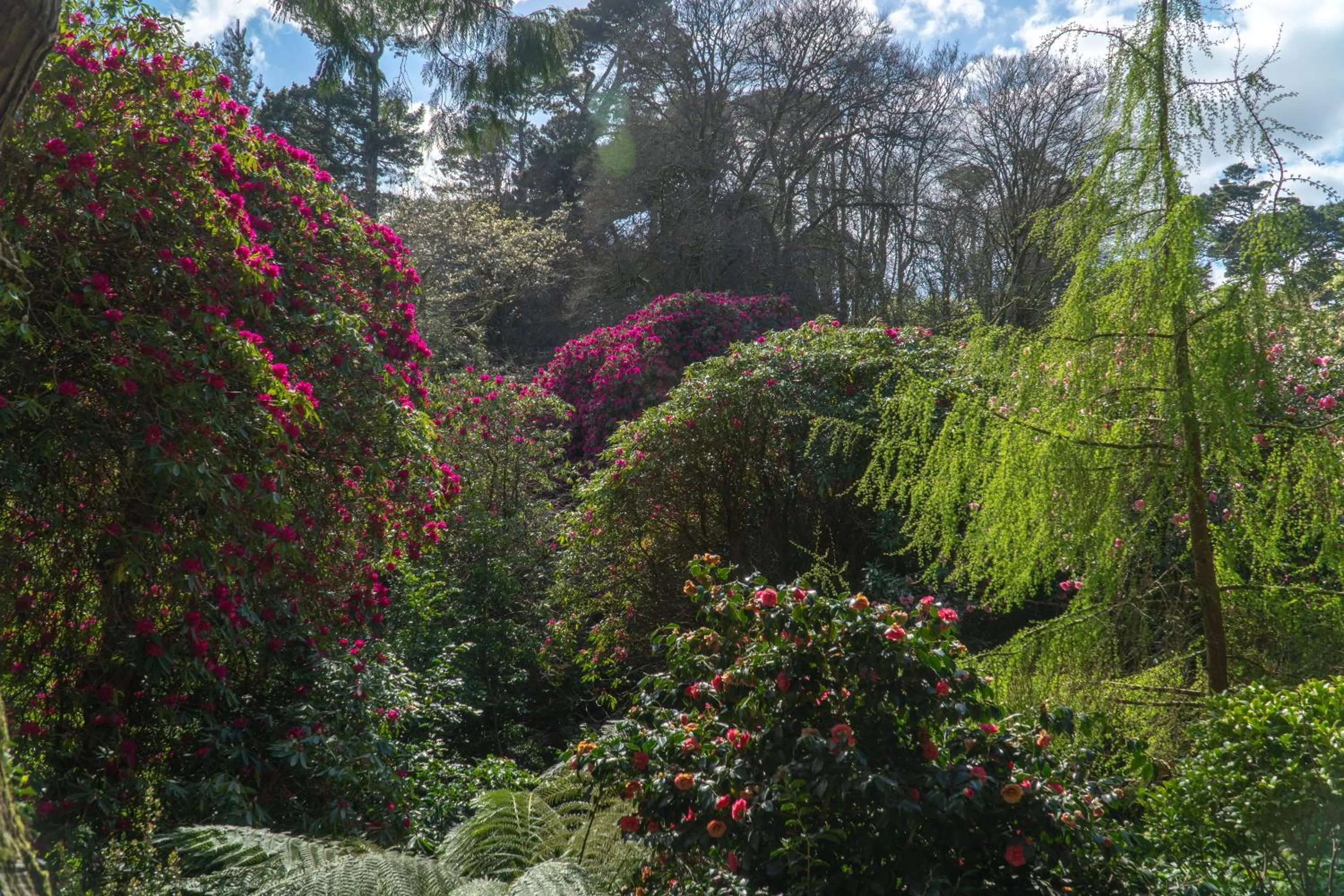 Natural landscape in Hotel Meudon