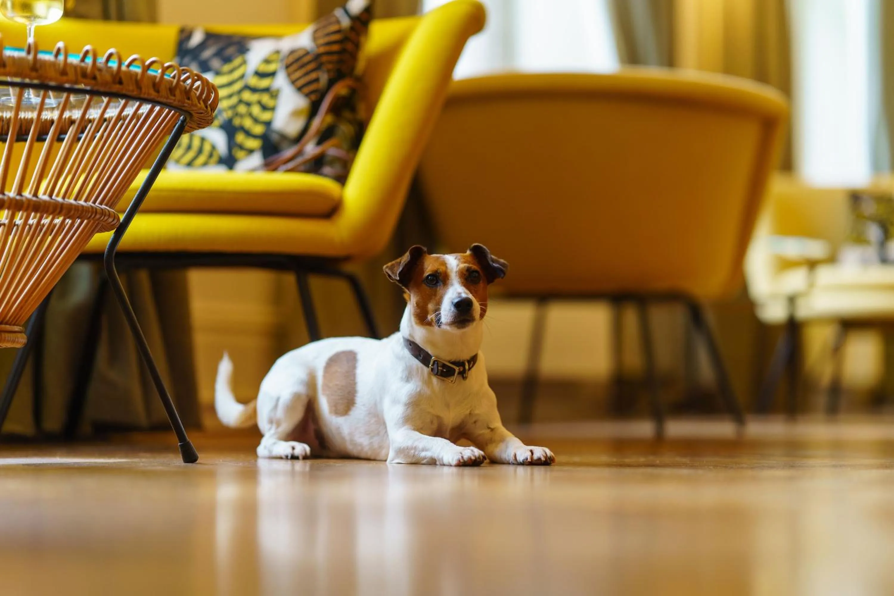 Communal lounge/ TV room in Hotel Meudon