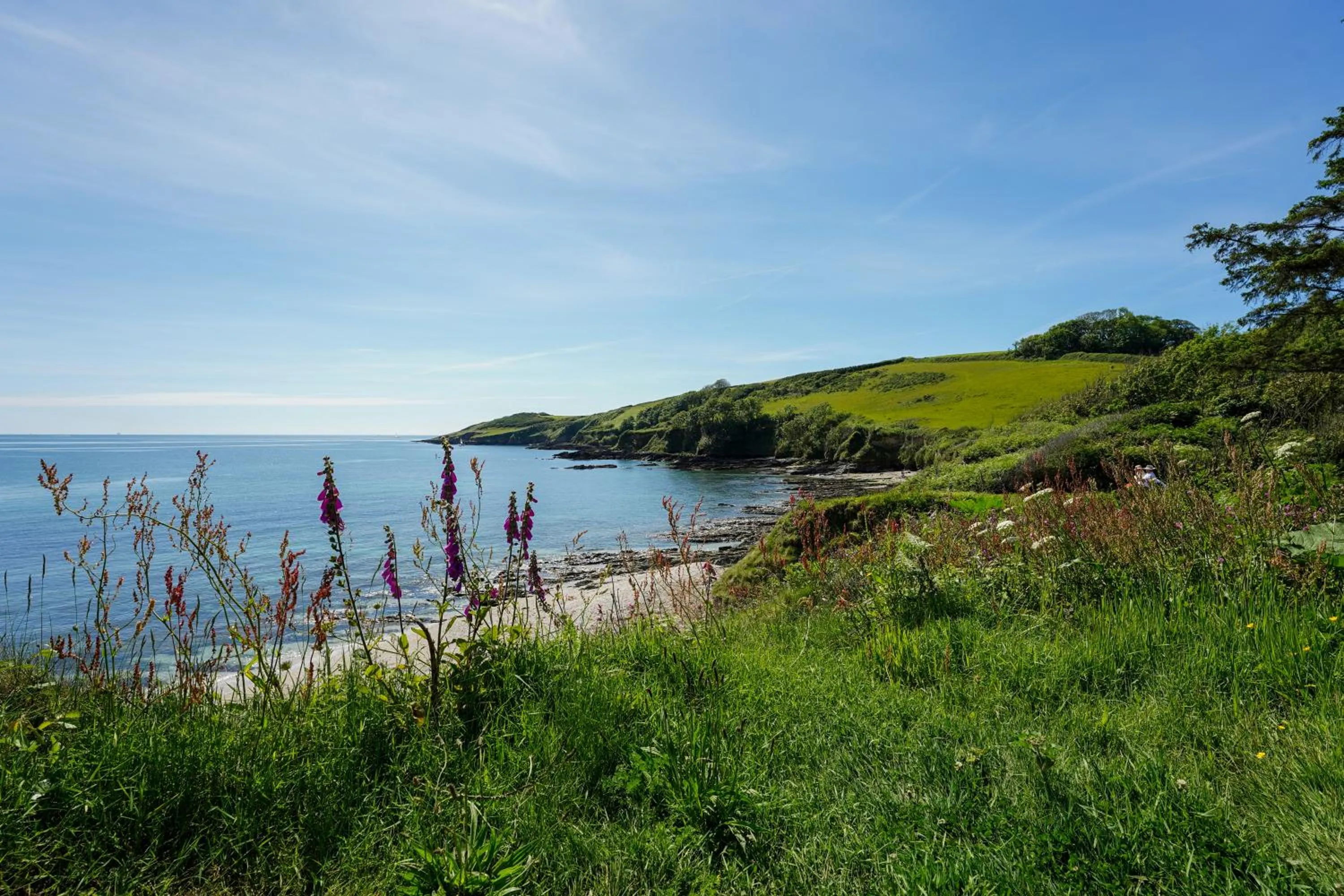 Natural landscape in Hotel Meudon