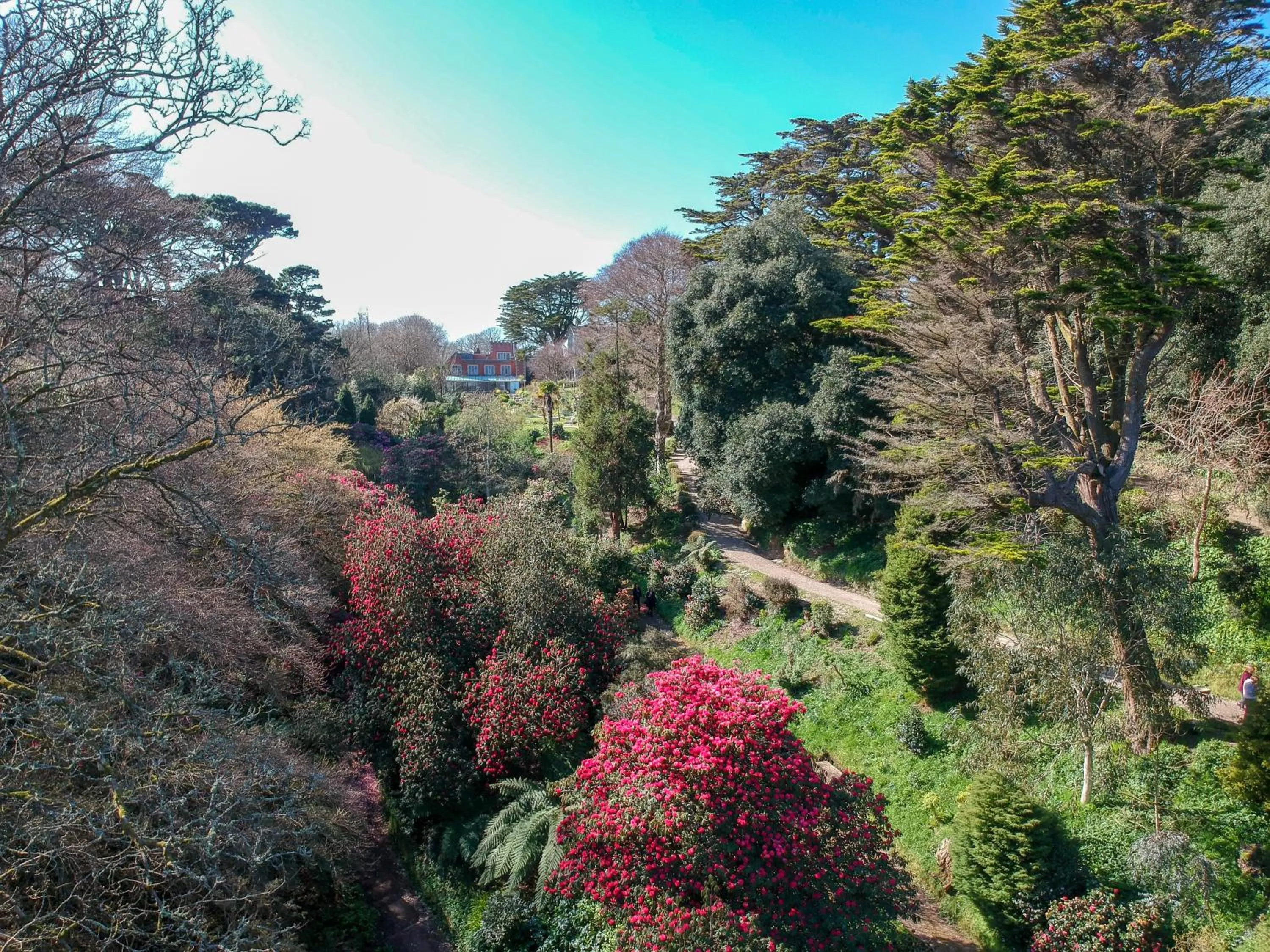 Garden in Hotel Meudon
