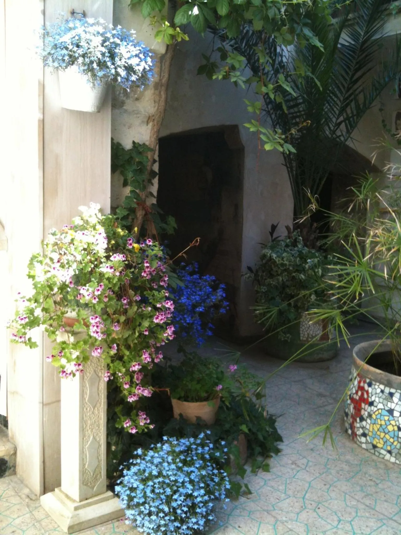 Garden in I Tetti di Siciliando