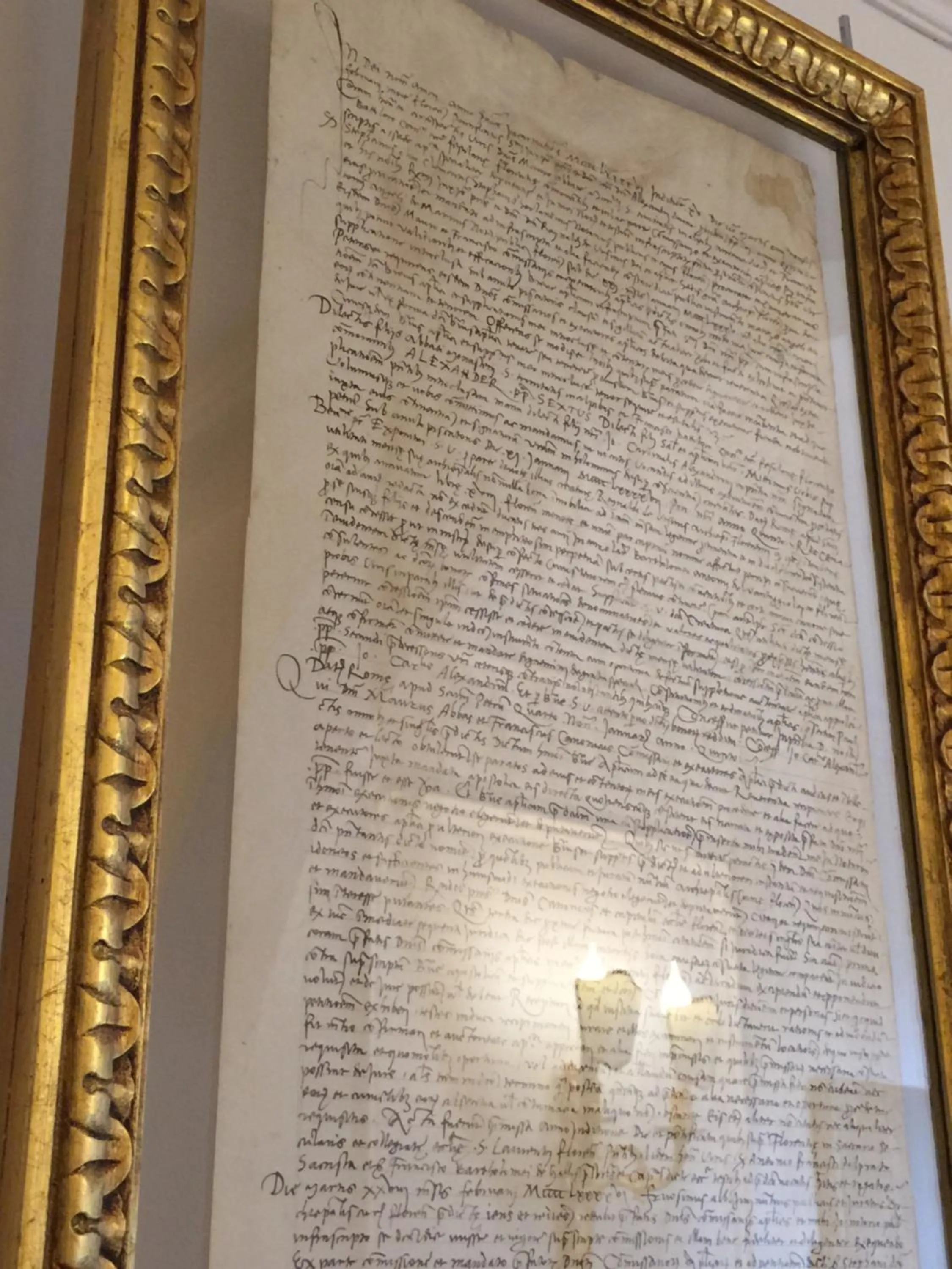 Other in Stanze del David Place