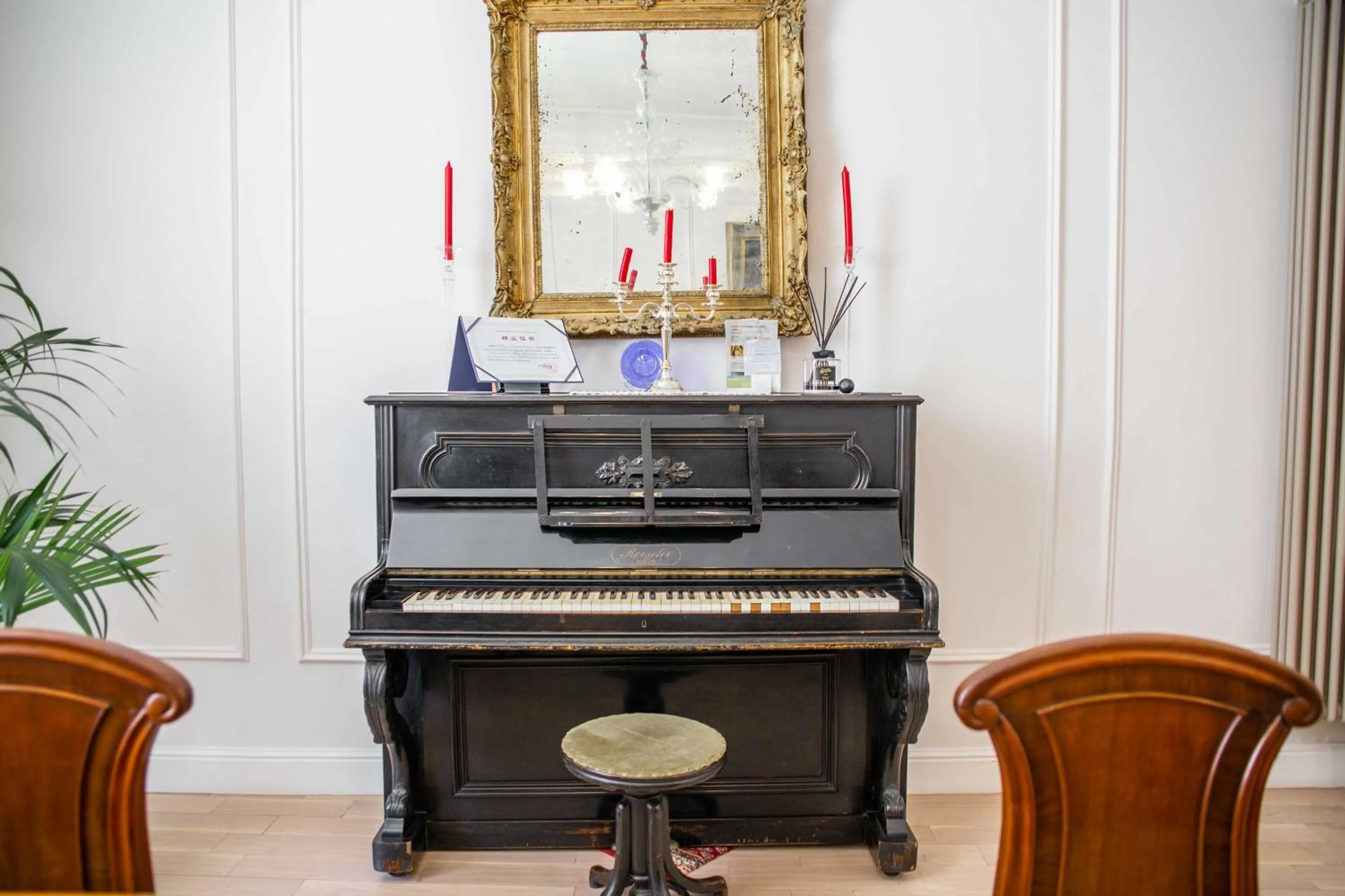 Stanze del David Place