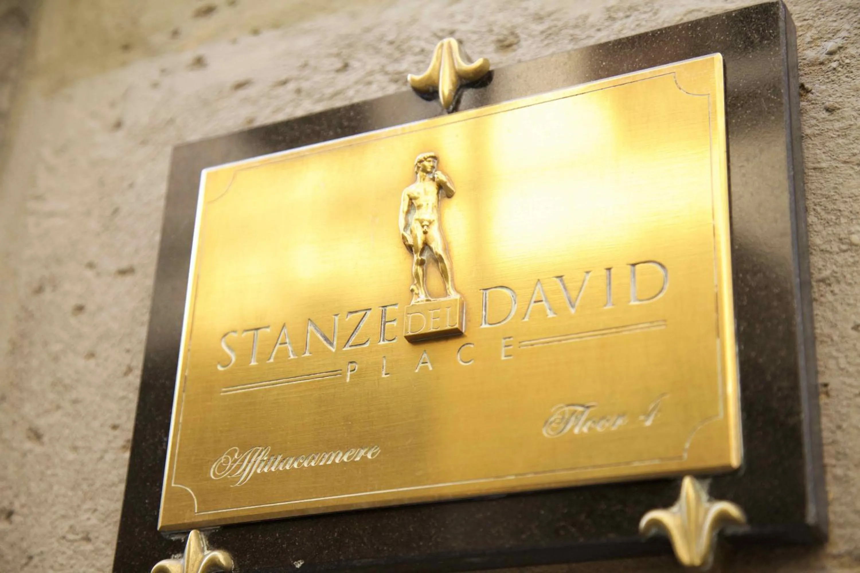 Property logo or sign in Stanze del David Place