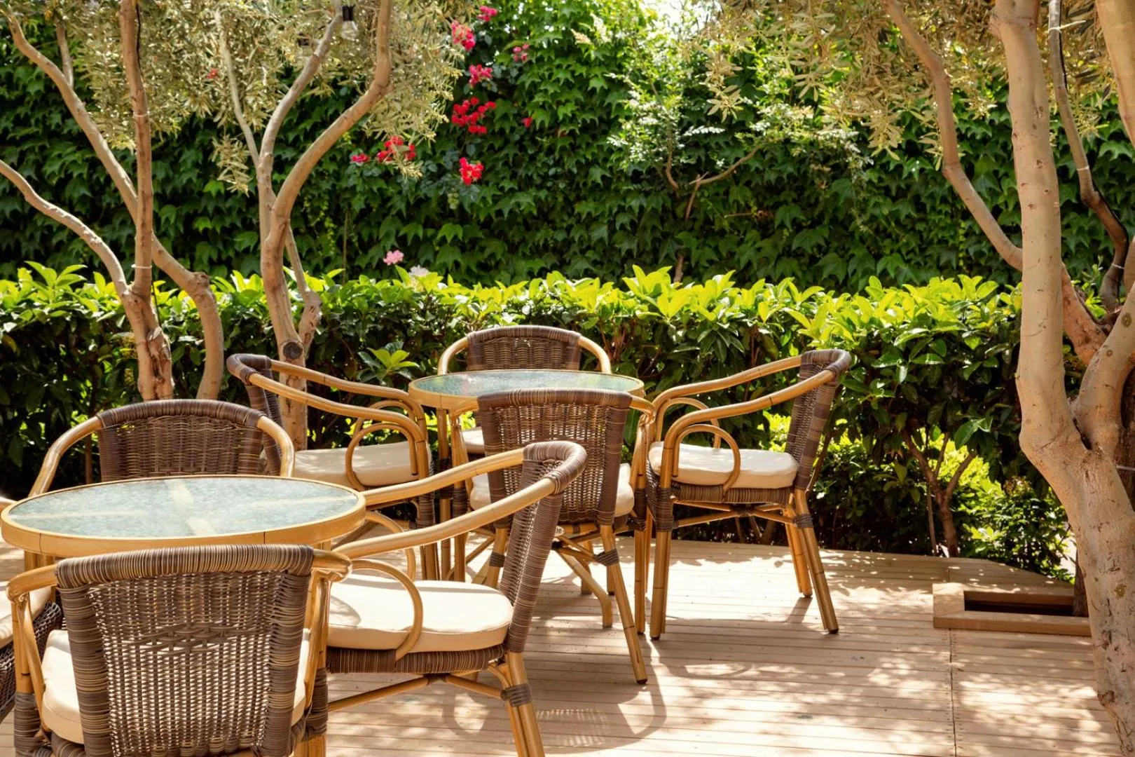 Patio in Numa Konaktepe Hotel - All Inclusive