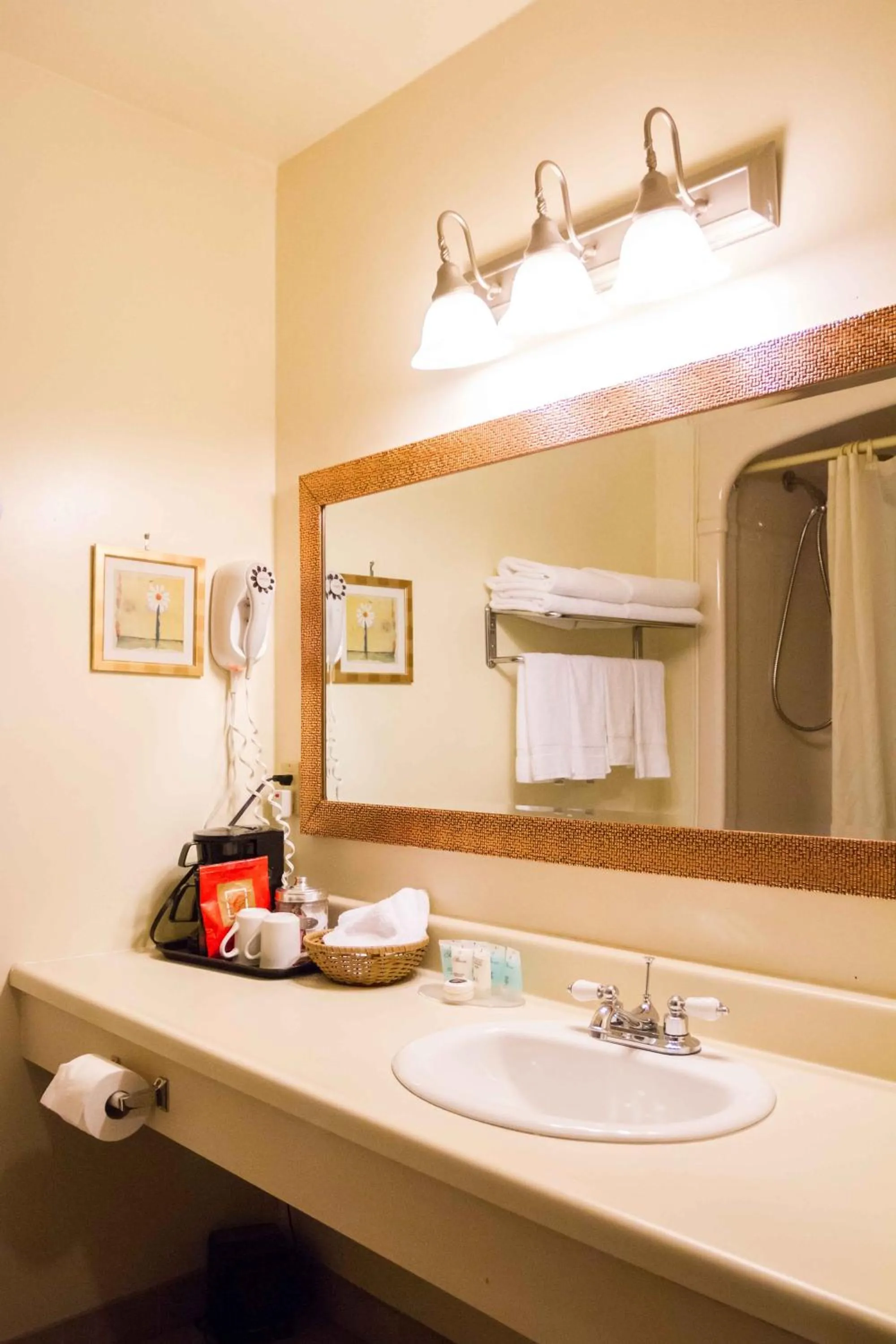 Bathroom in Niagara Falls Motor Lodge