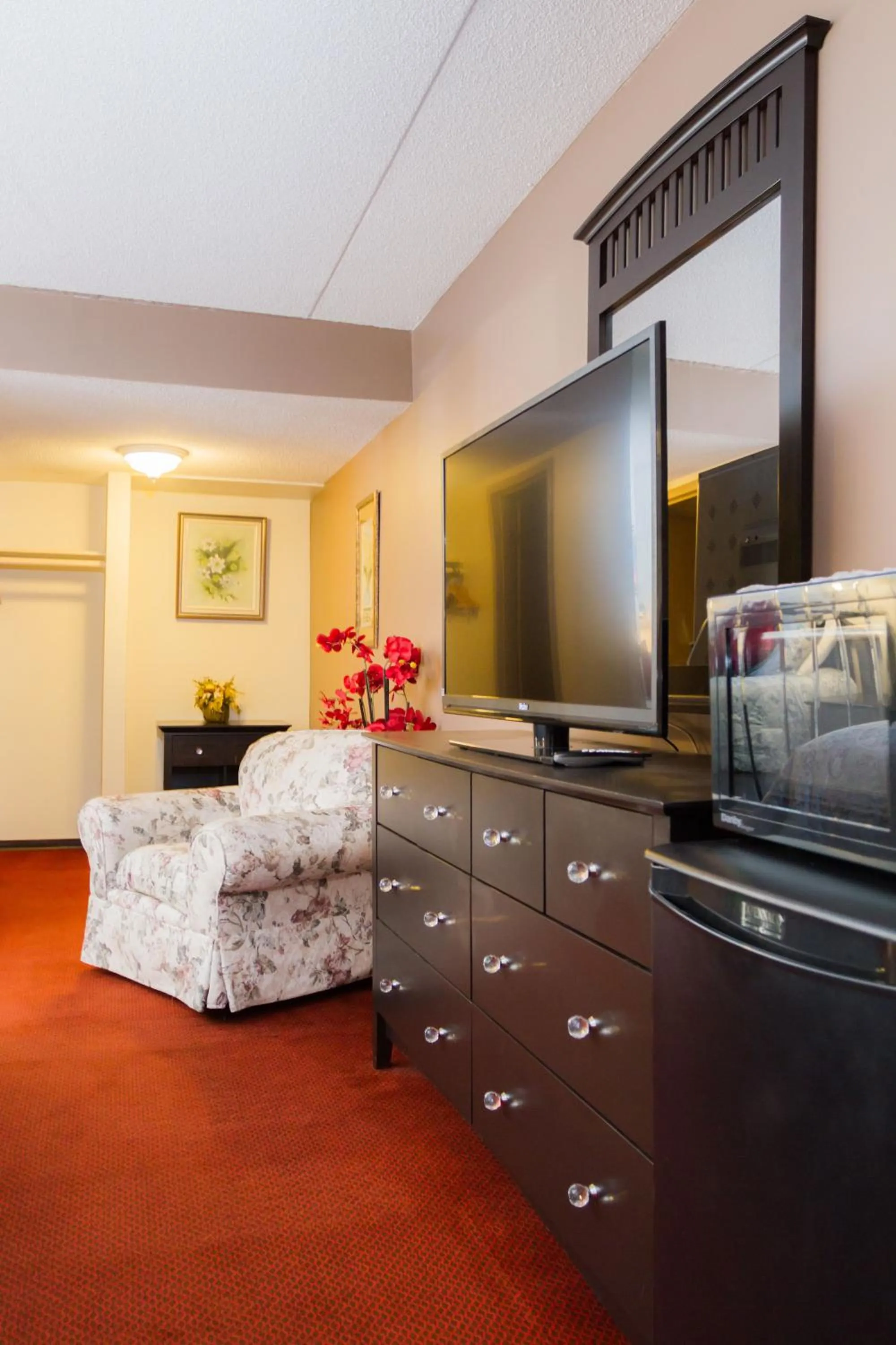 TV and multimedia in Niagara Falls Motor Lodge