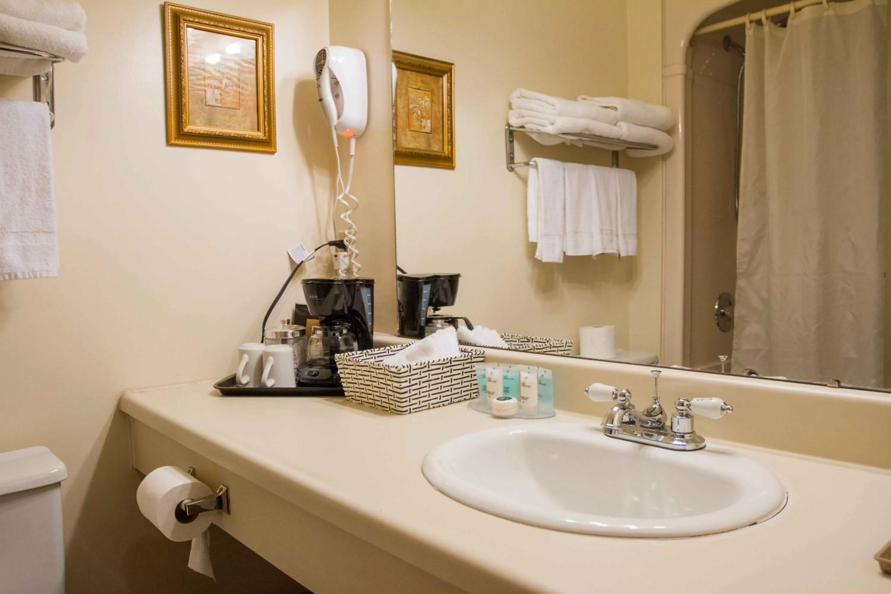 Bathroom in Niagara Falls Motor Lodge