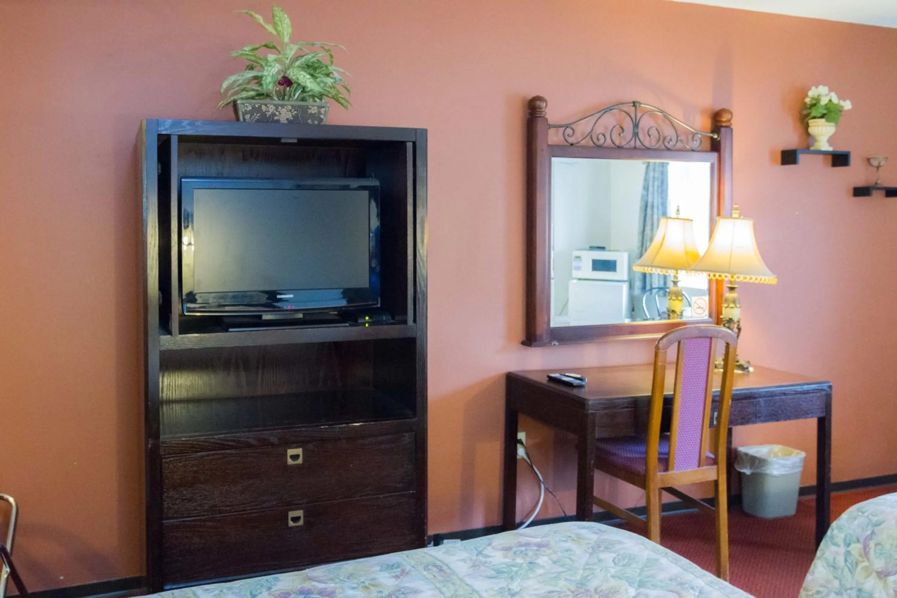 TV and multimedia in Niagara Falls Motor Lodge