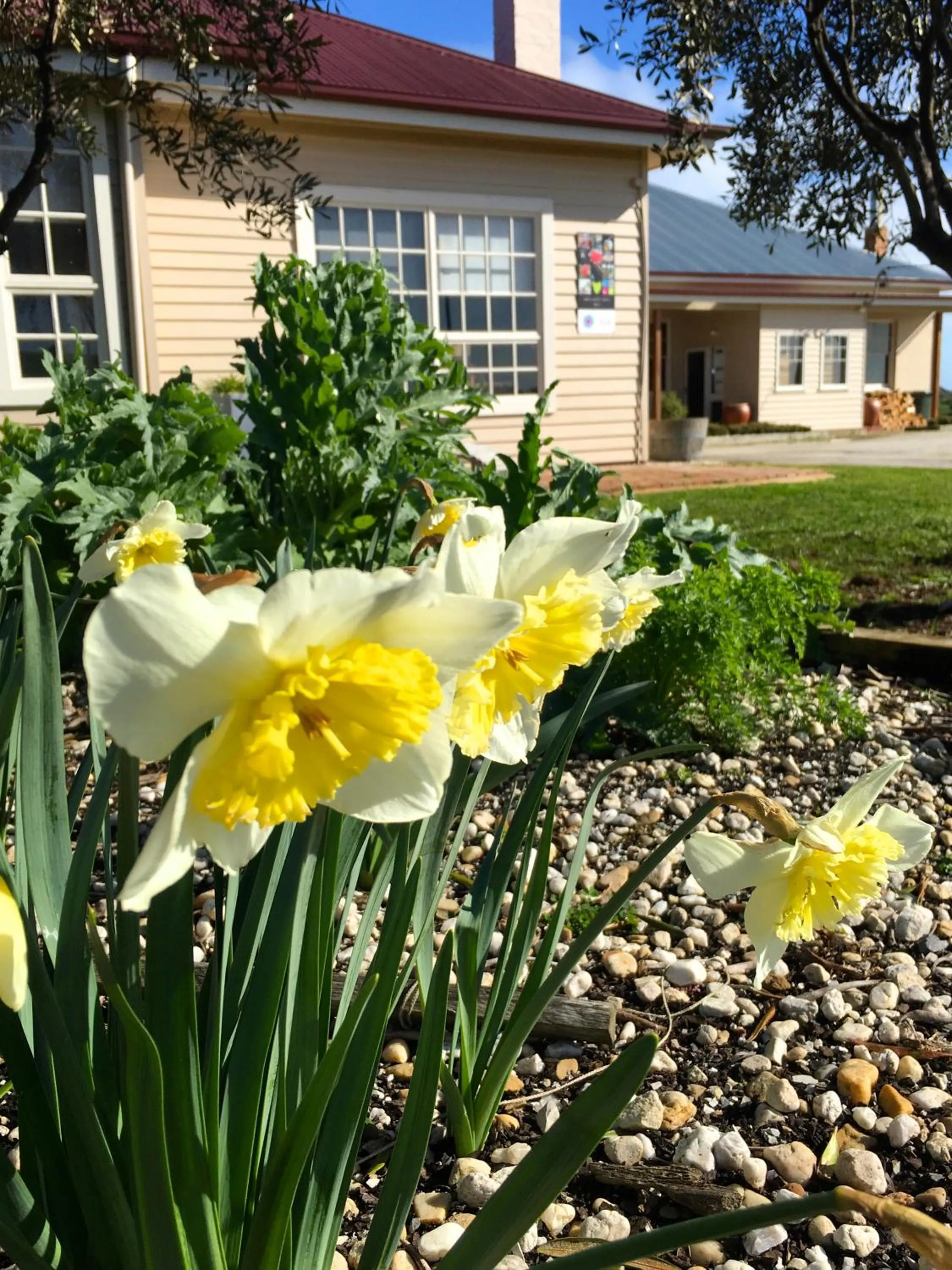 Garden in Cable Station Accommodation
