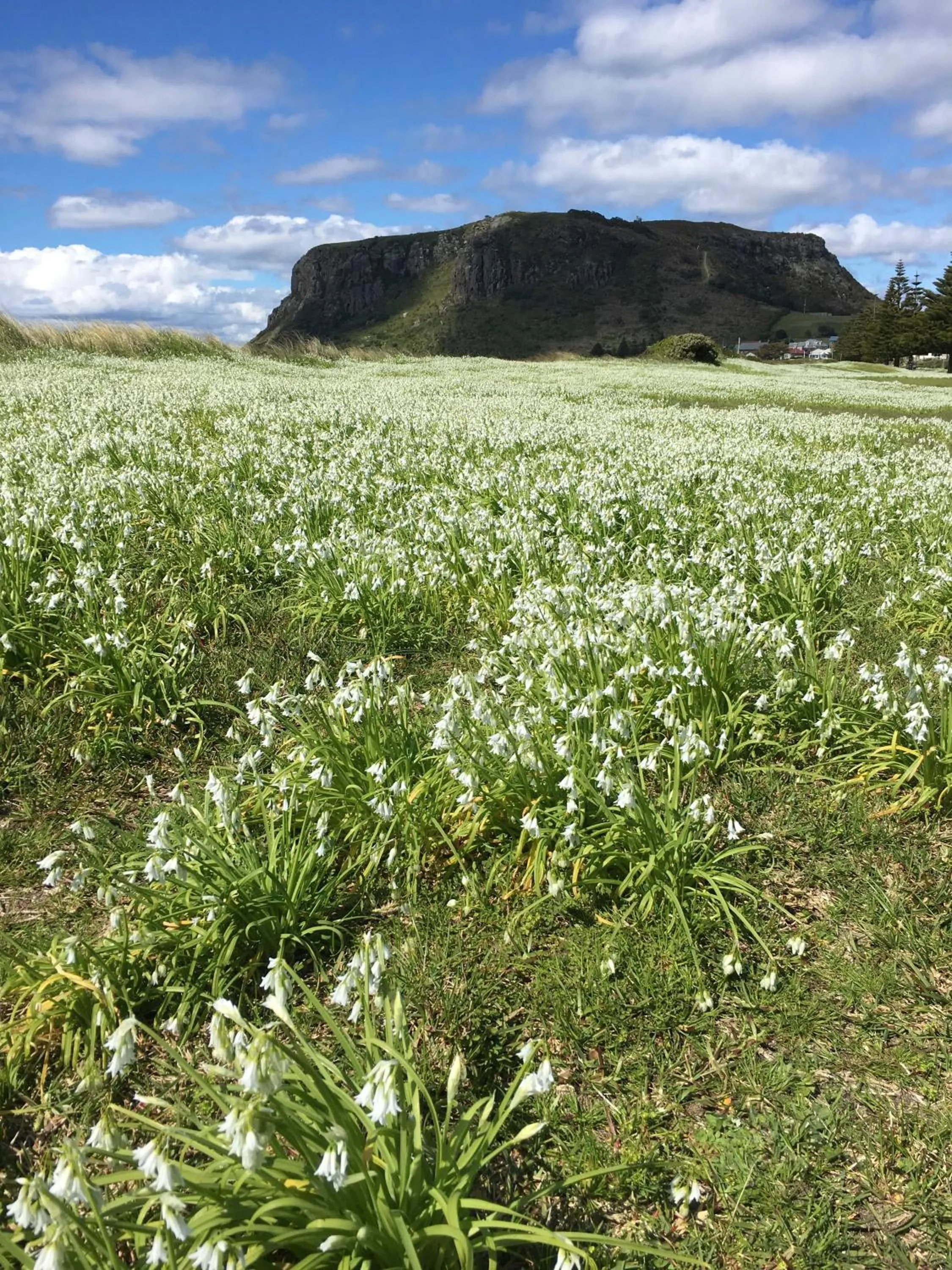 Nearby landmark in Cable Station Accommodation