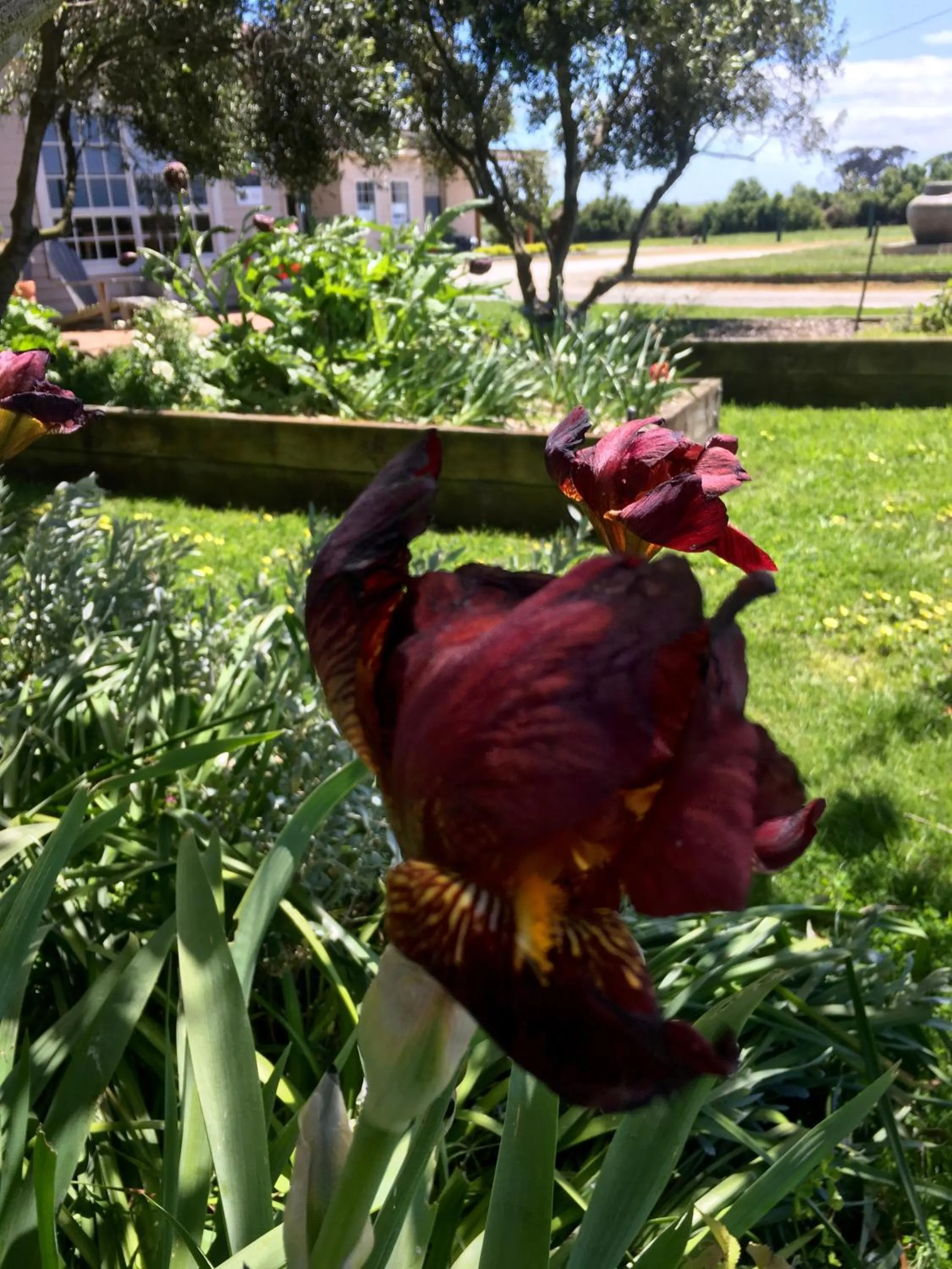 Garden in Cable Station Accommodation
