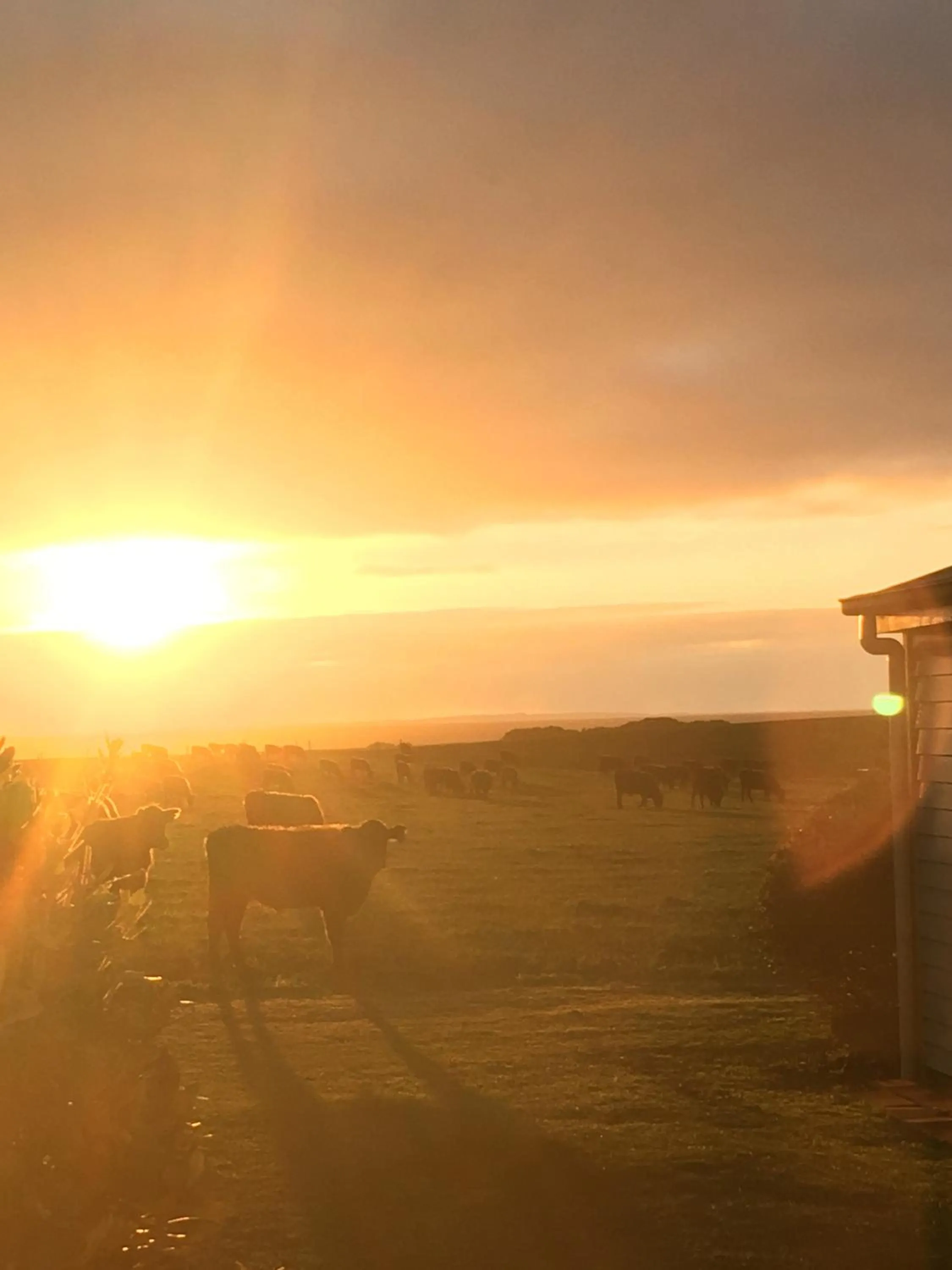 Sunset in Cable Station Accommodation