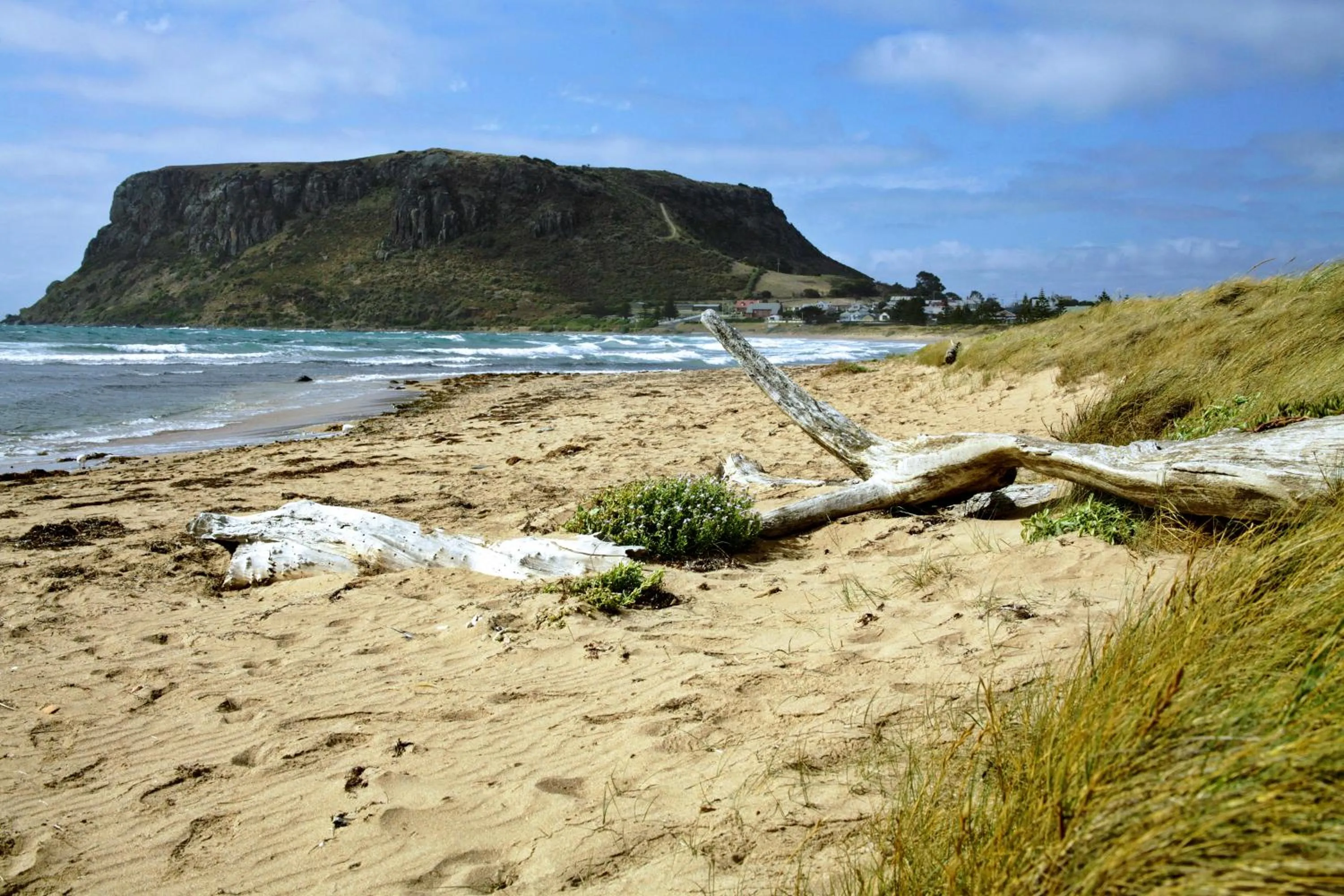 Nearby landmark in Cable Station Accommodation