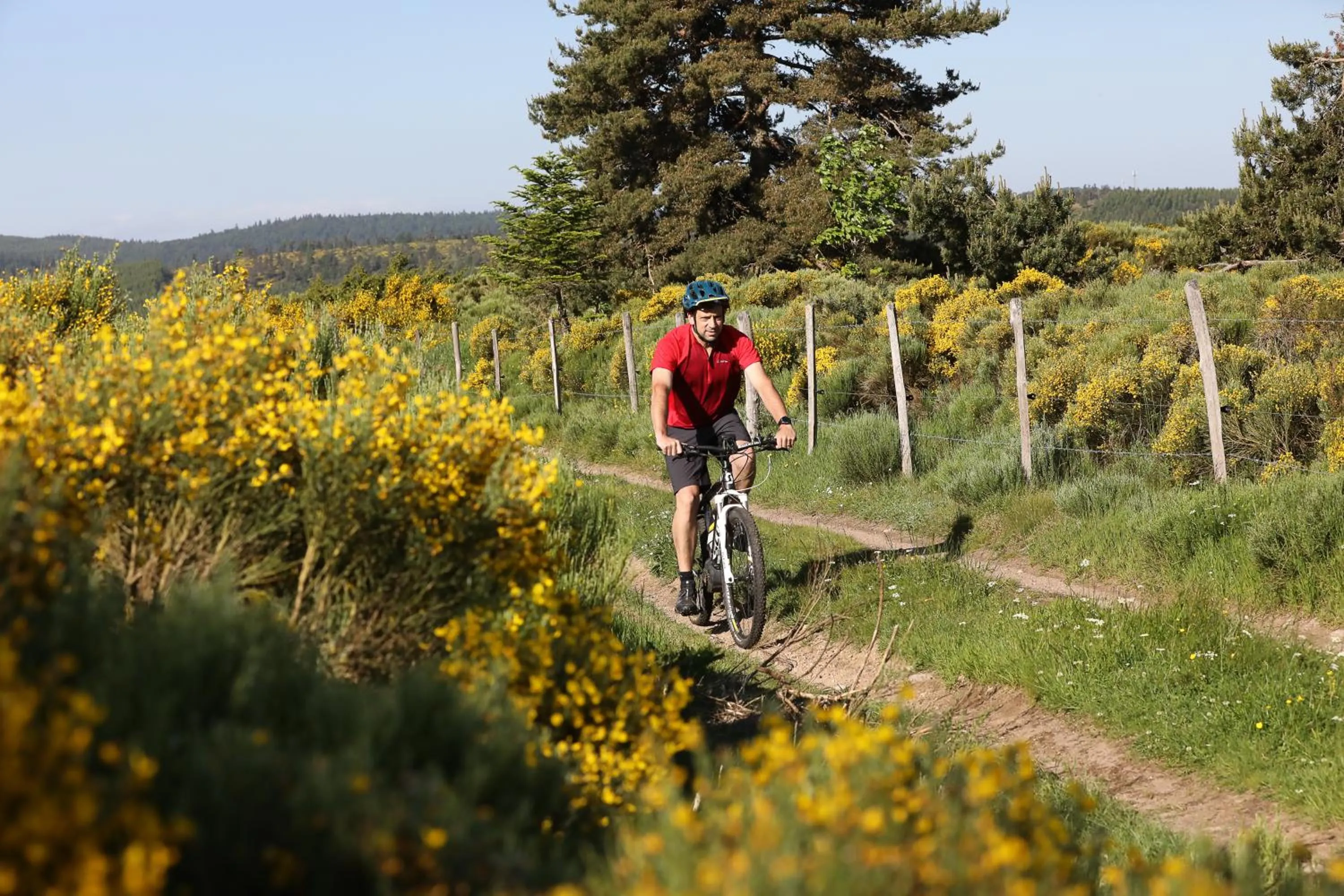 Logis Hotel Spa Restaurant Le Provence