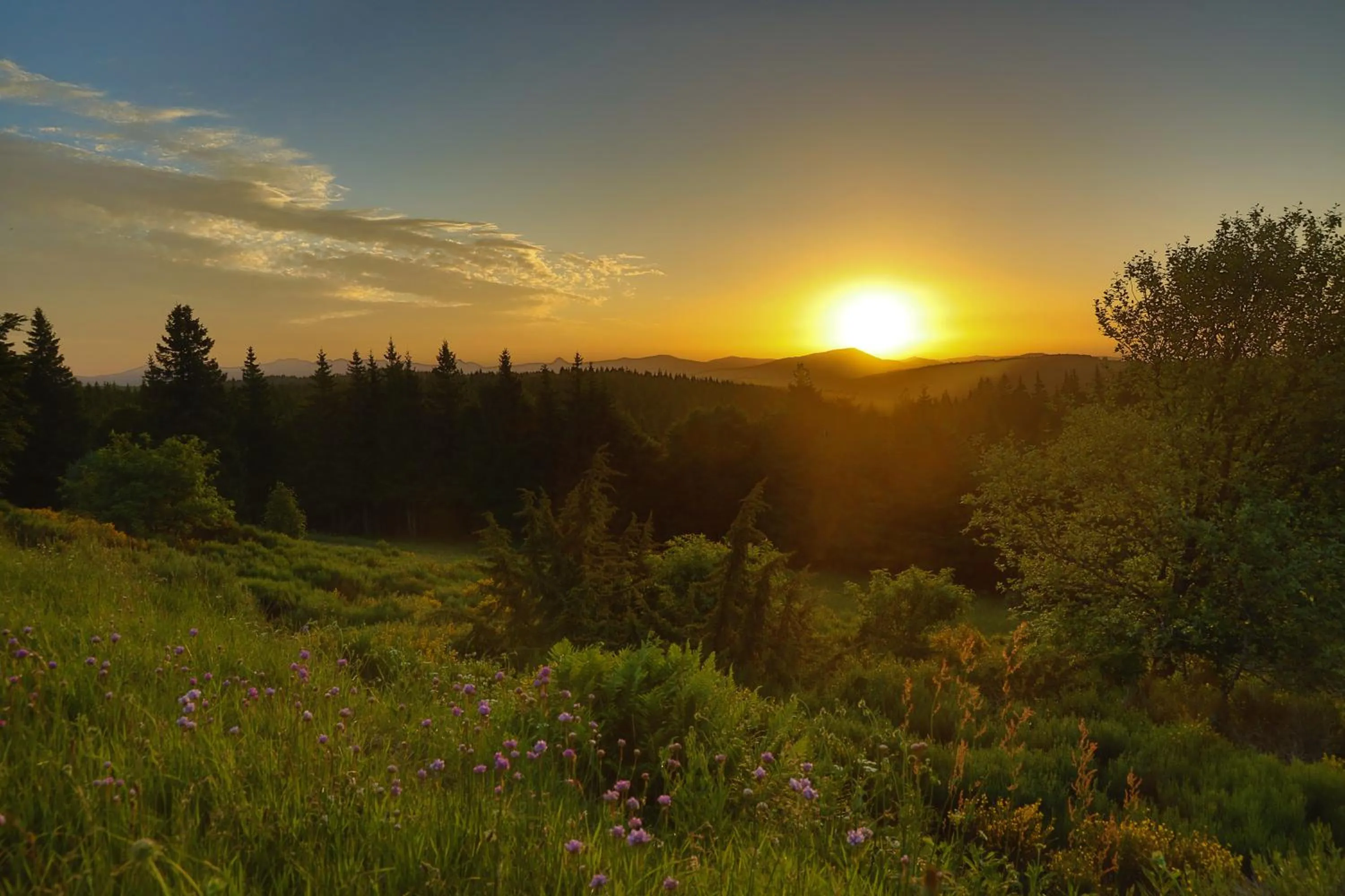 Logis Hotel Spa Restaurant Le Provence