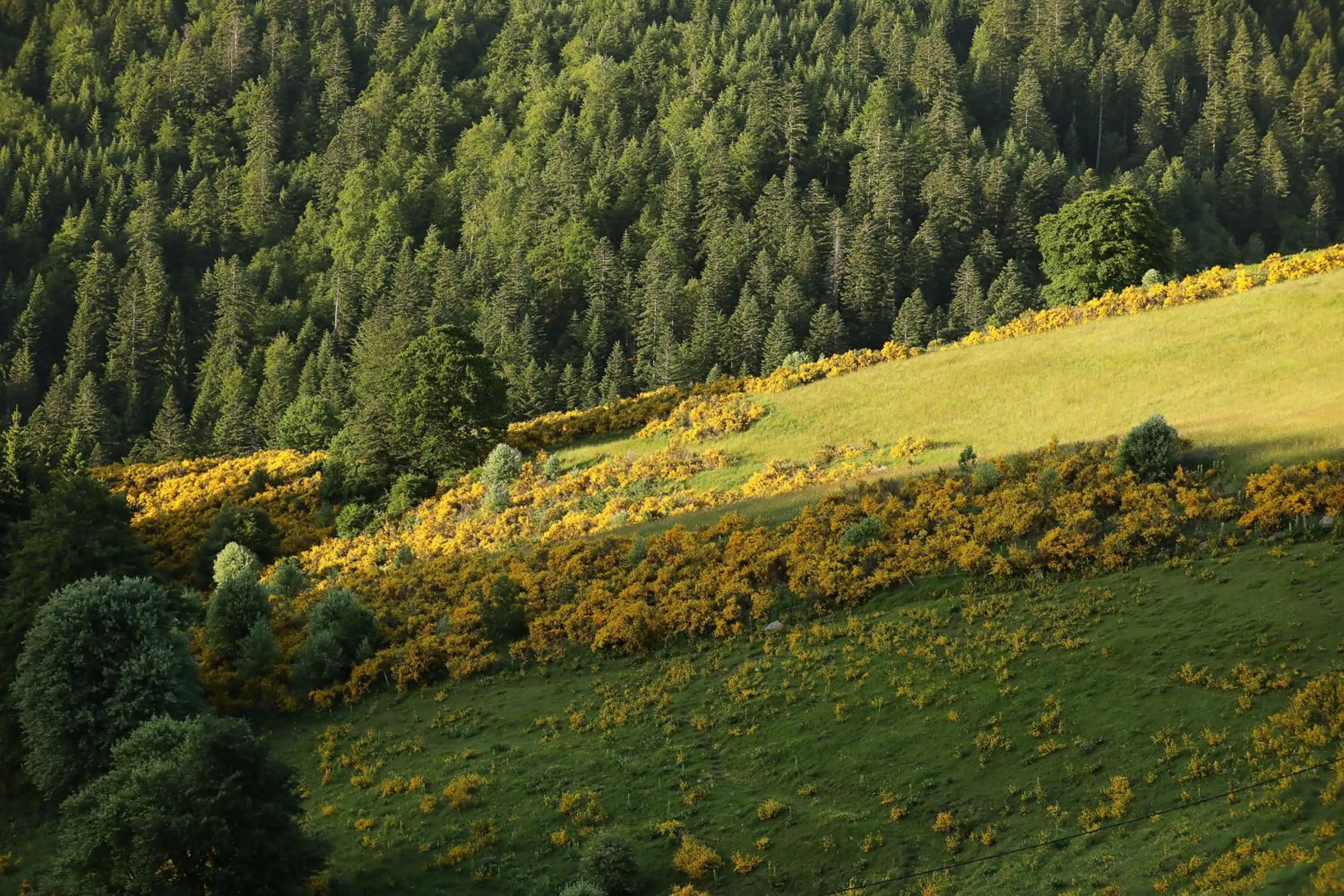 Logis Hotel Spa Restaurant Le Provence