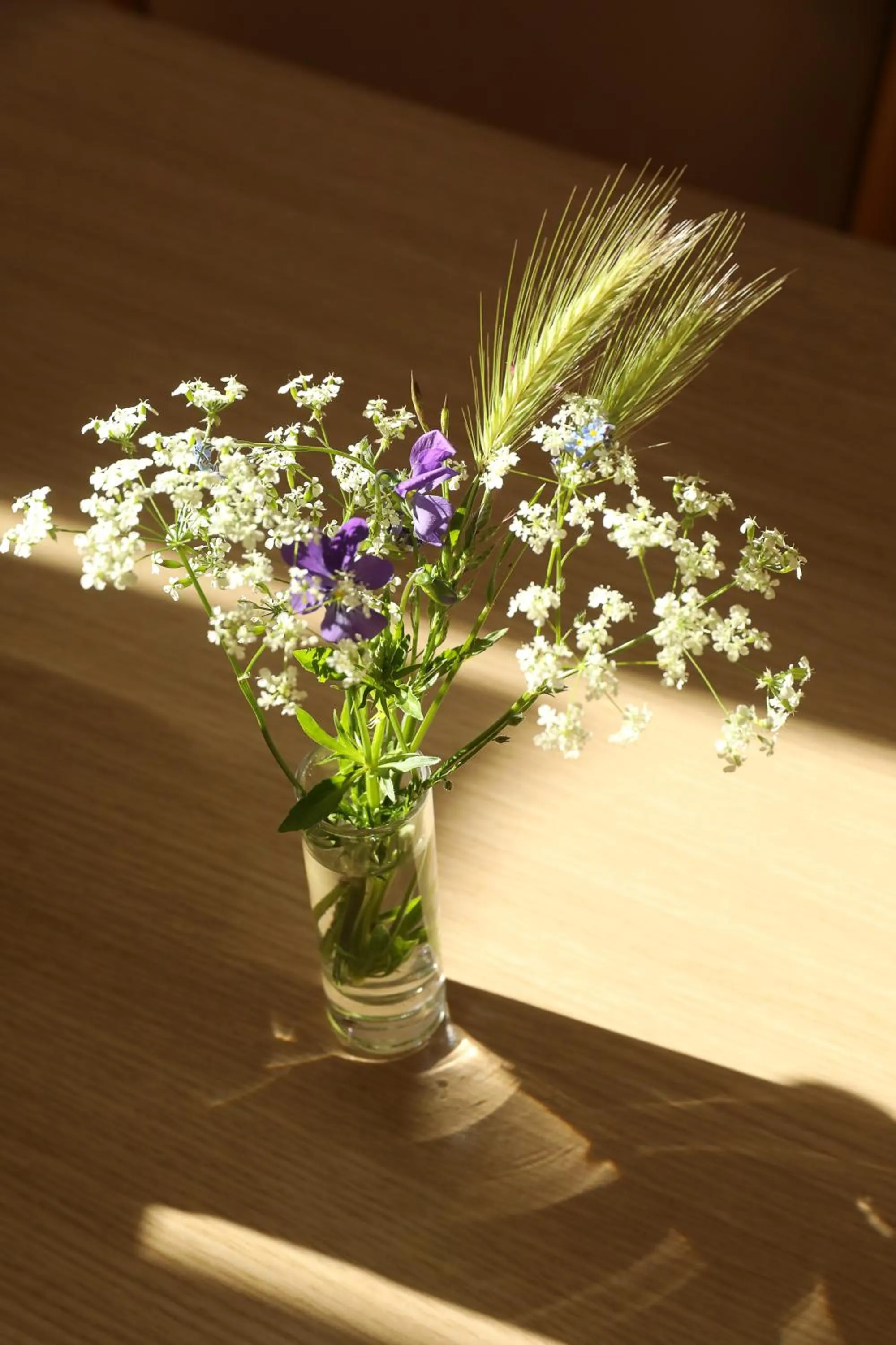 Logis Hotel Spa Restaurant Le Provence