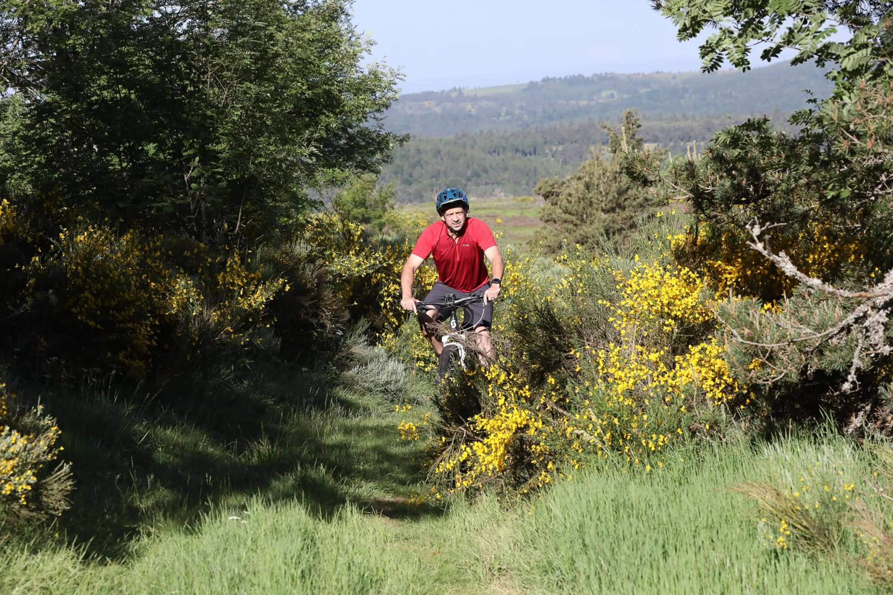 Logis Hotel Spa Restaurant Le Provence