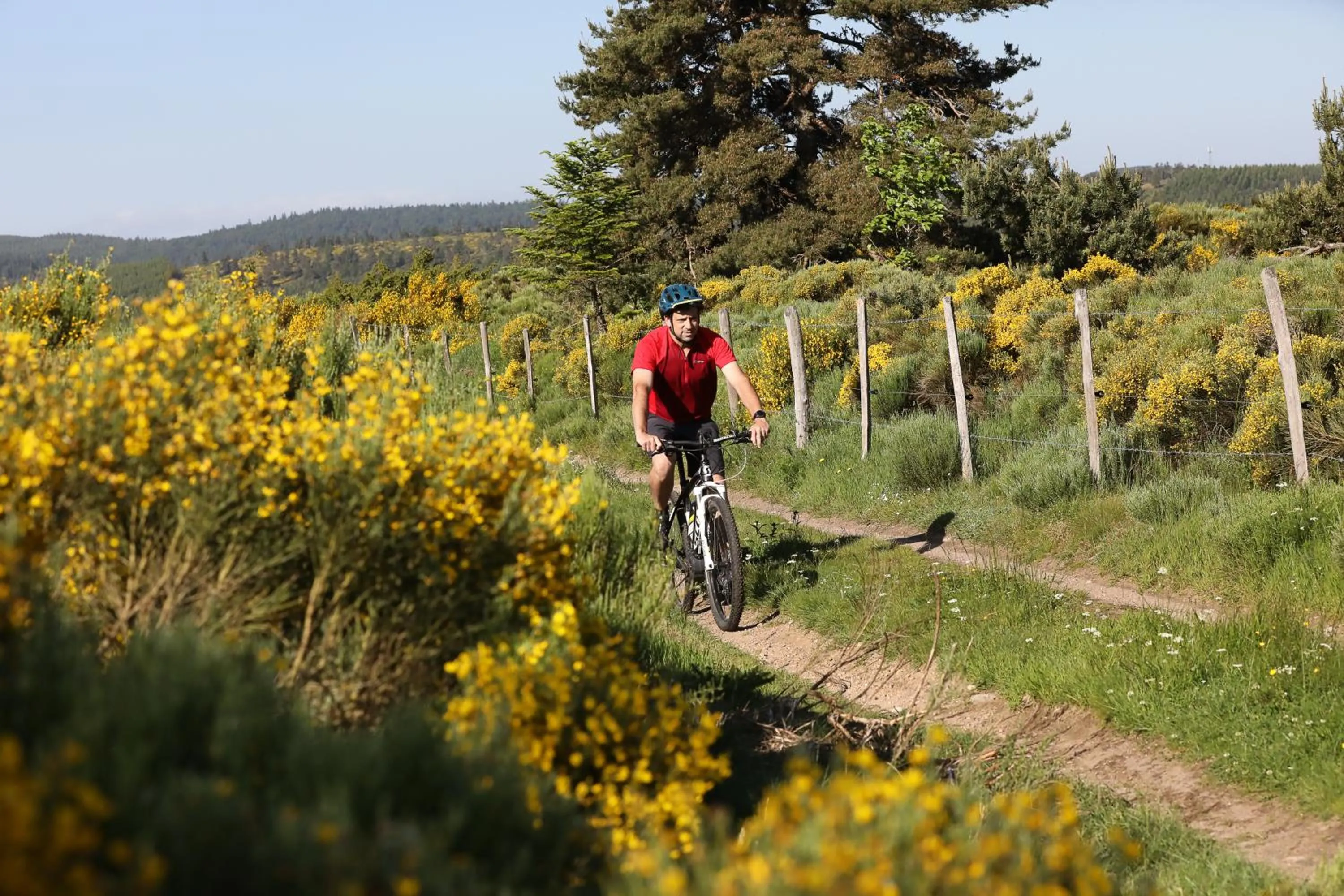 Logis Hotel Spa Restaurant Le Provence