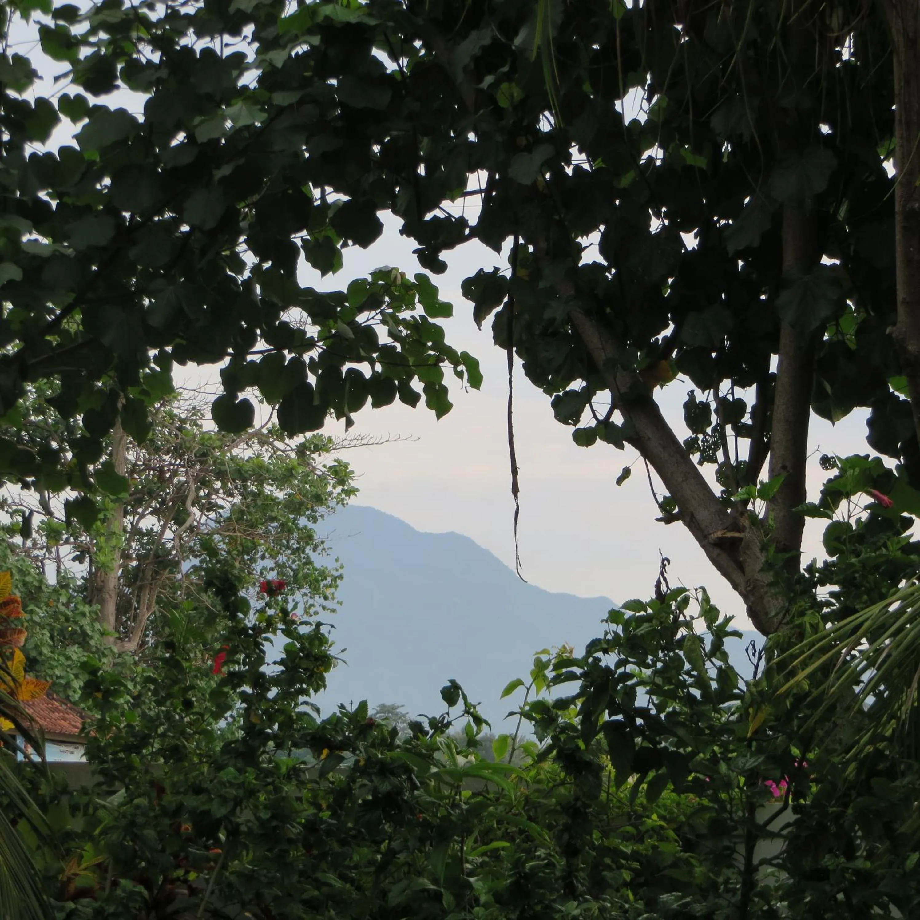 Nearby landmark in Aashaya Jasri Resort