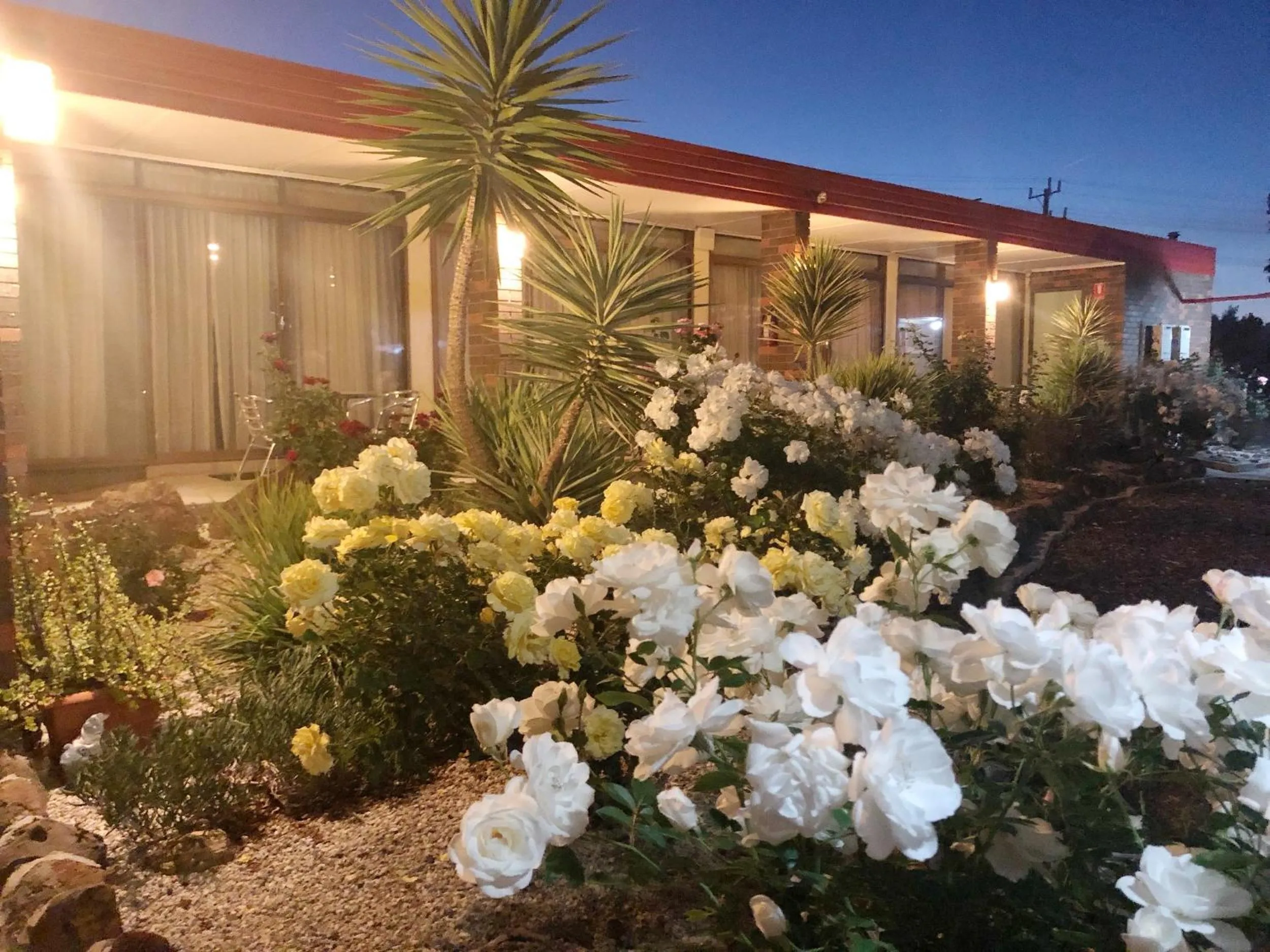 Garden in Statesman Motor Inn