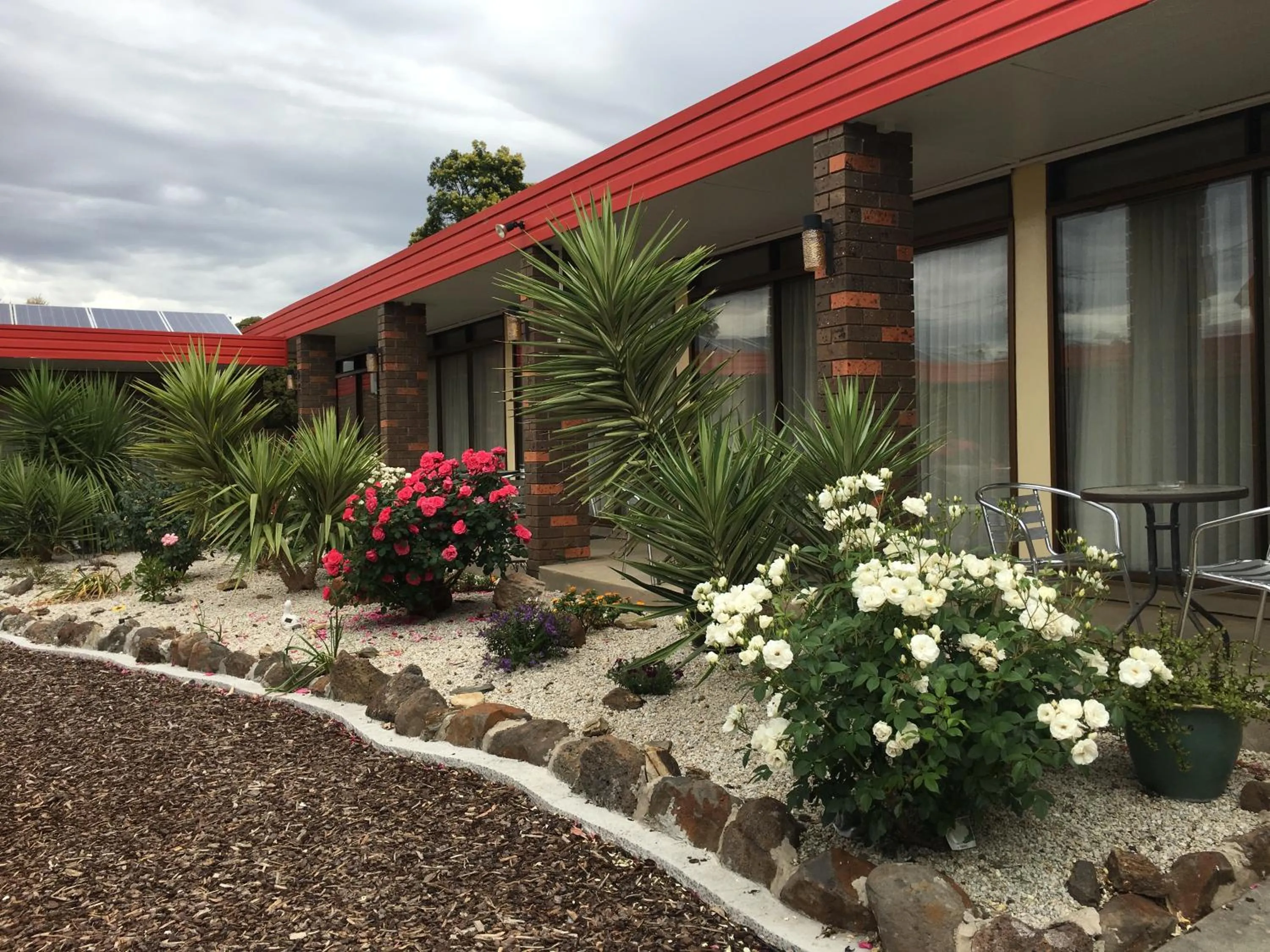Garden in Statesman Motor Inn
