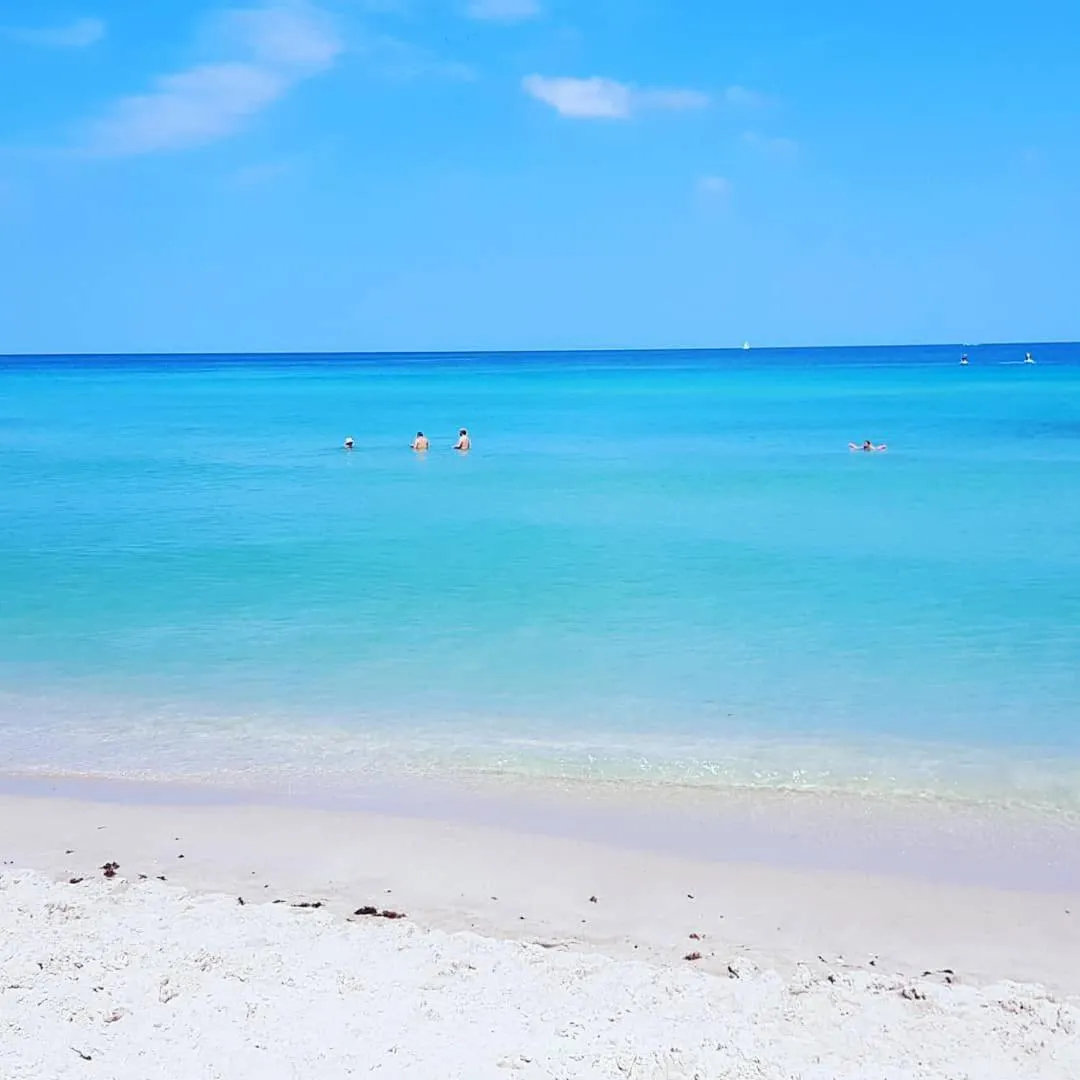 Hallandale Condo, Partial Ocean View Direct Beach and Pool Access Hollywood Beach