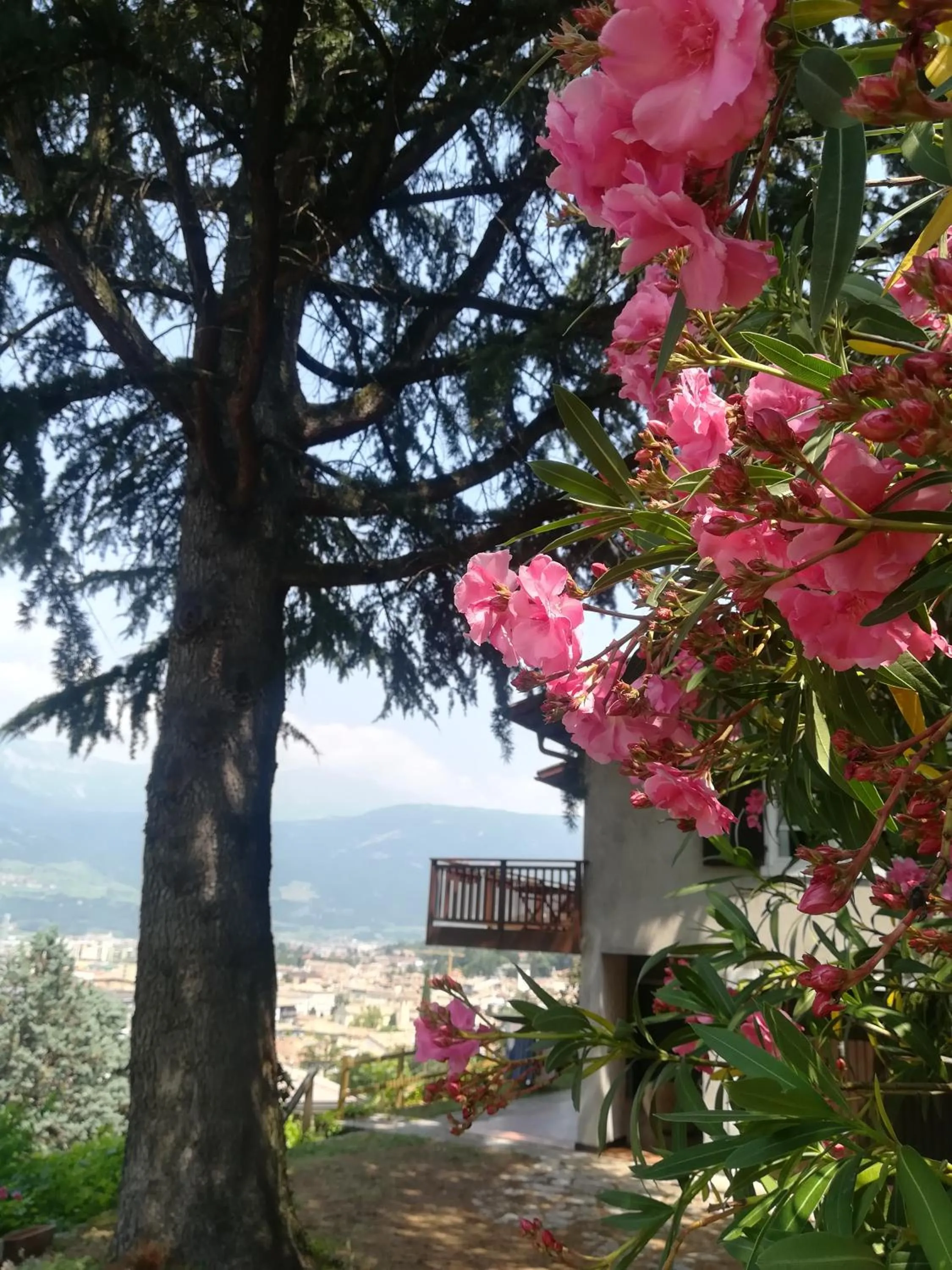 Property building in DOLCE DORMIRE