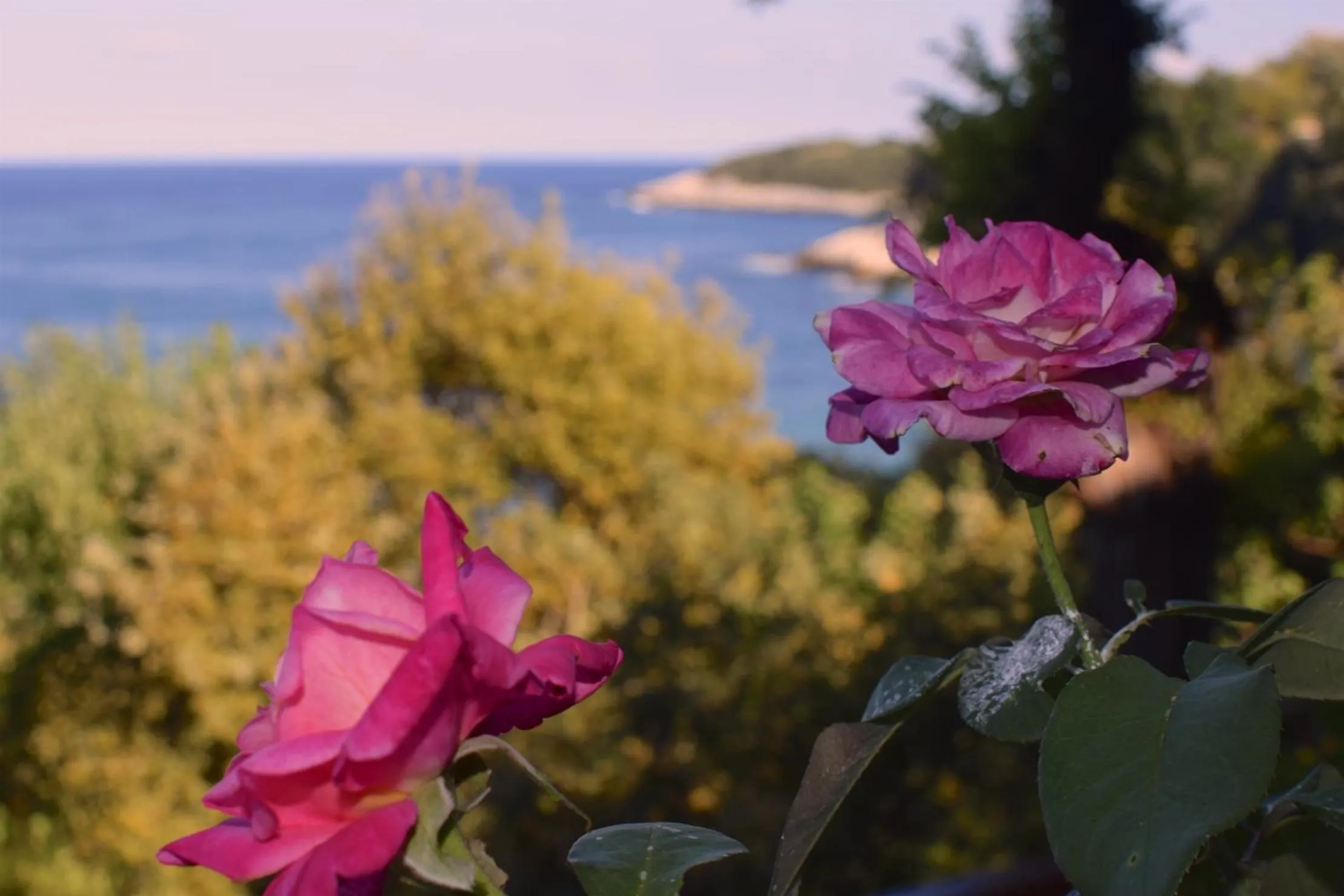 Property building in Appartments Zoe