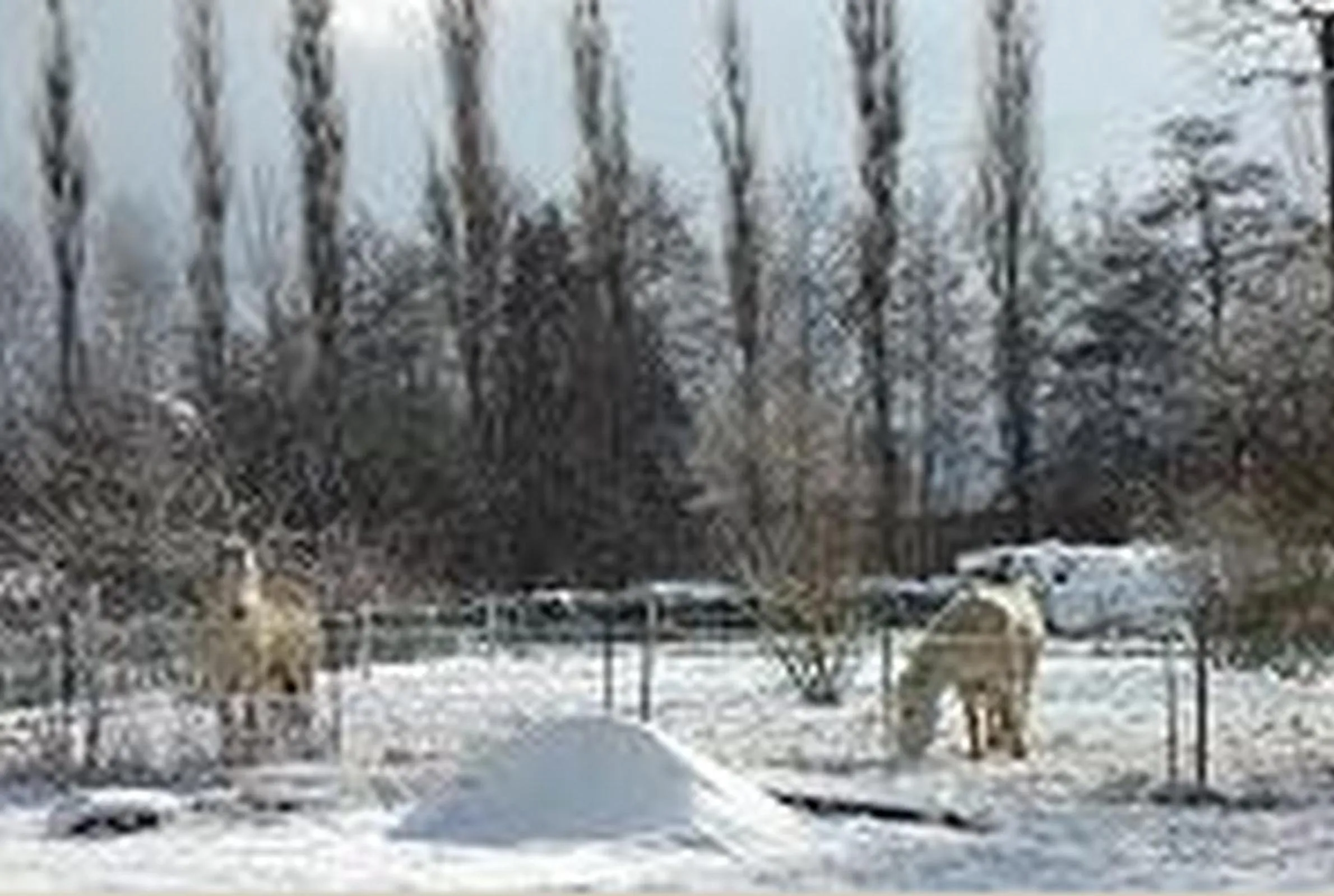 Winter in Le Clos Pré