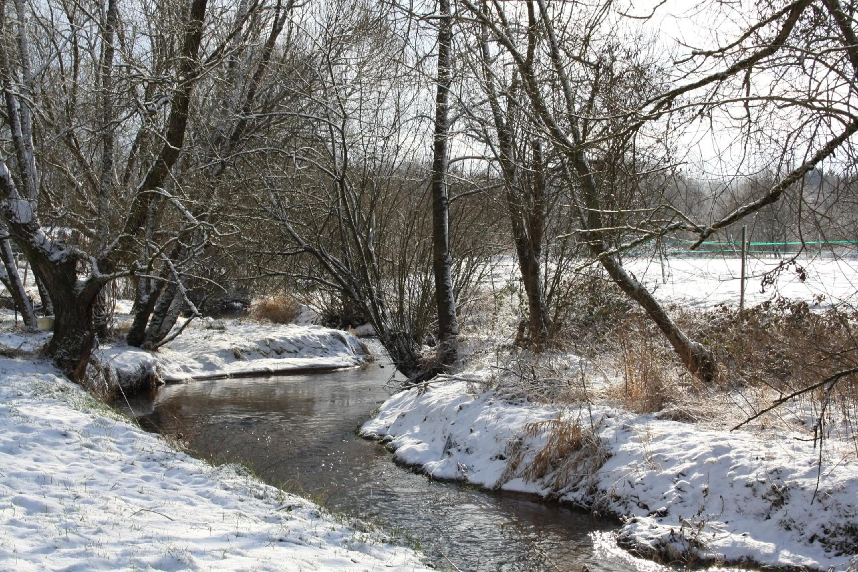 Natural landscape in Le Clos Pré