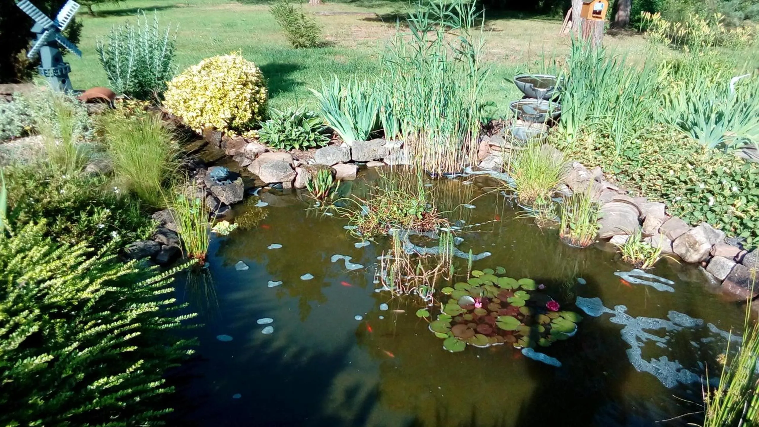Natural landscape in Le Clos Pré