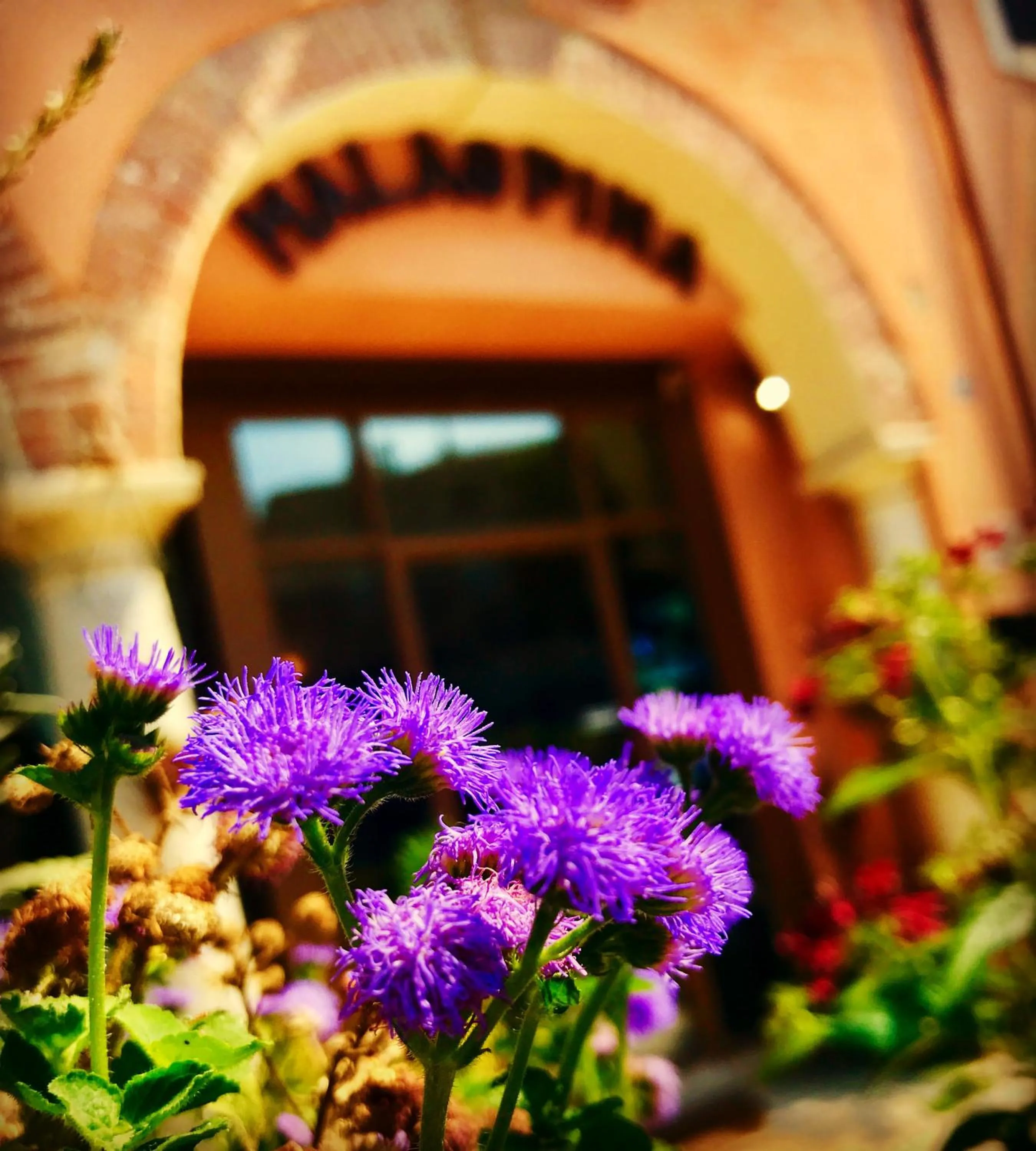Facade/entrance in Boutique Hotel Corte Malaspina