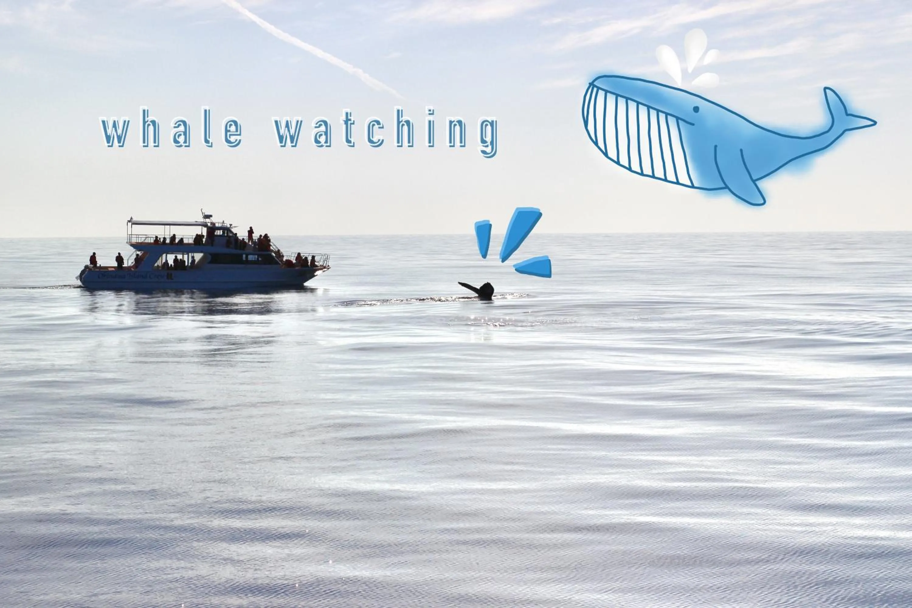 Other in Akizero Onnason