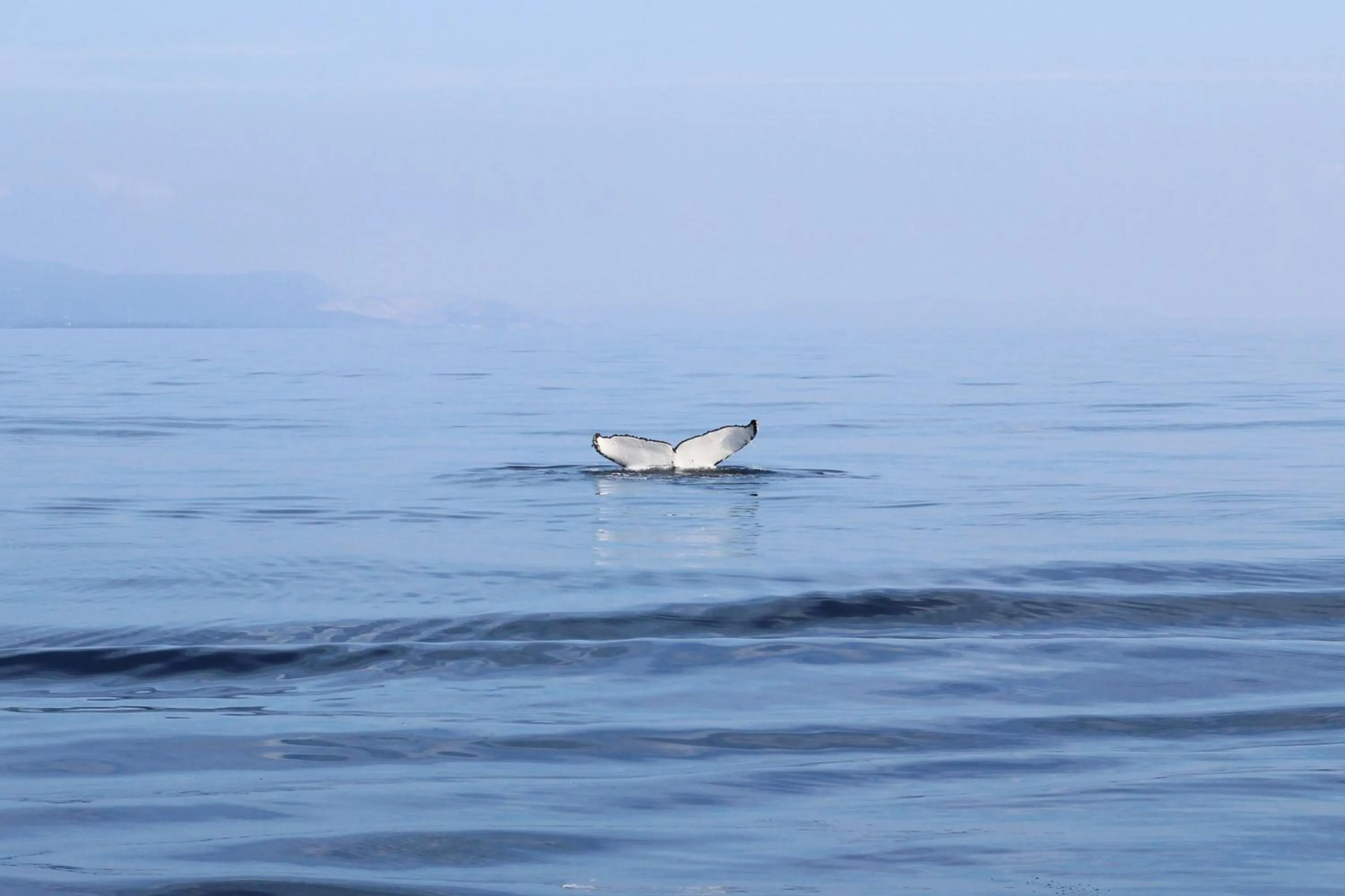 Natural landscape in Akizero Onnason