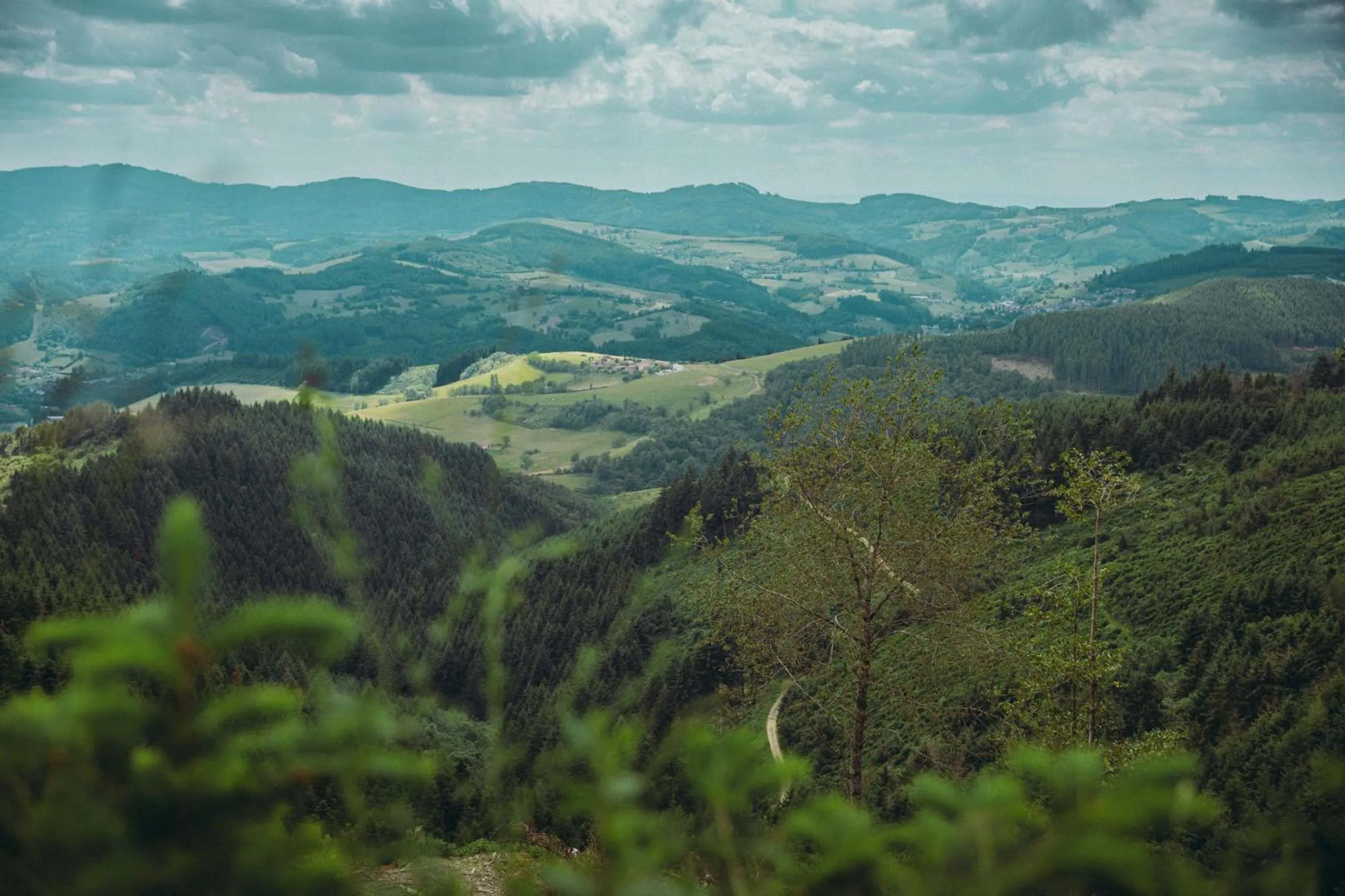 Natural landscape in Auberge de Clochemerle - Spa & Restaurant gastronomique étoilé