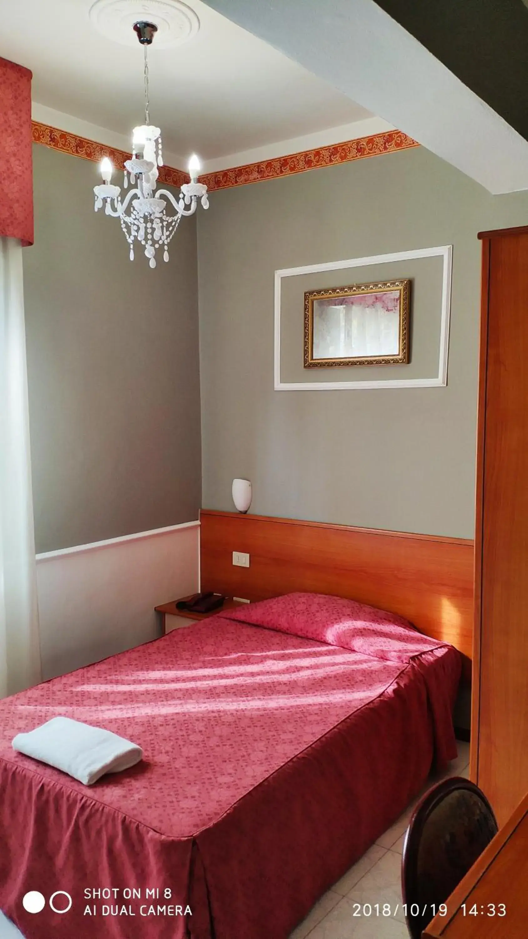 Single Room in Hotel Minerva Single Room in Hotel Minerva