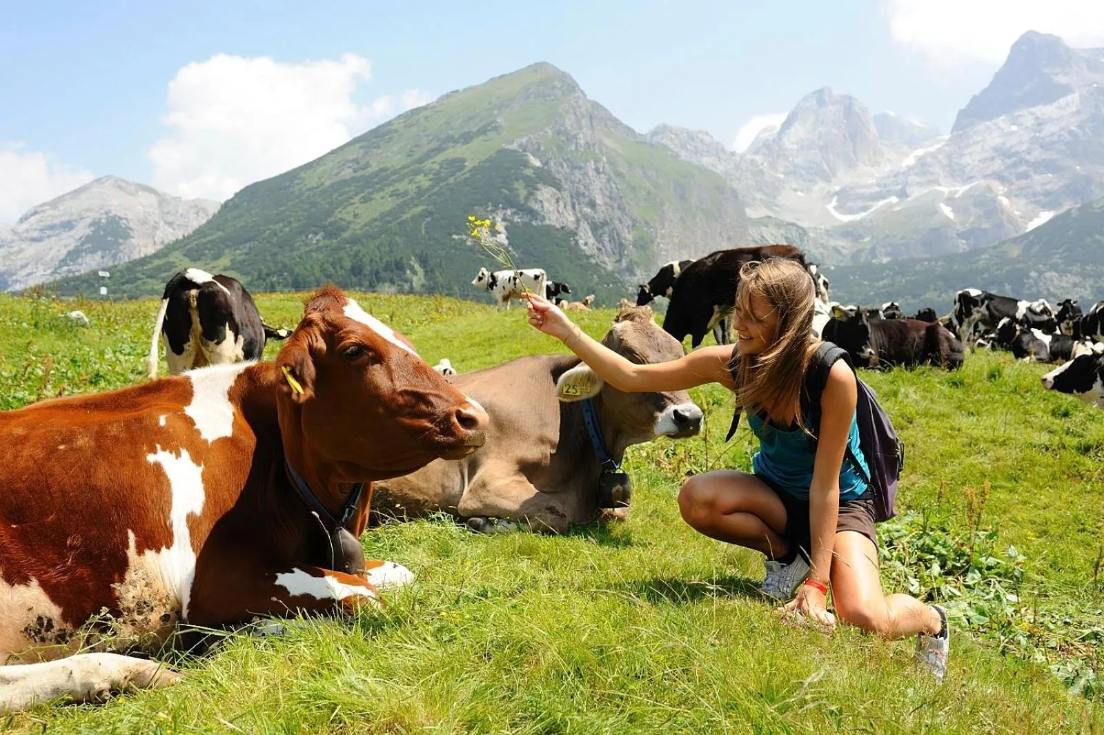 Nearby landmark in Residenza Casale