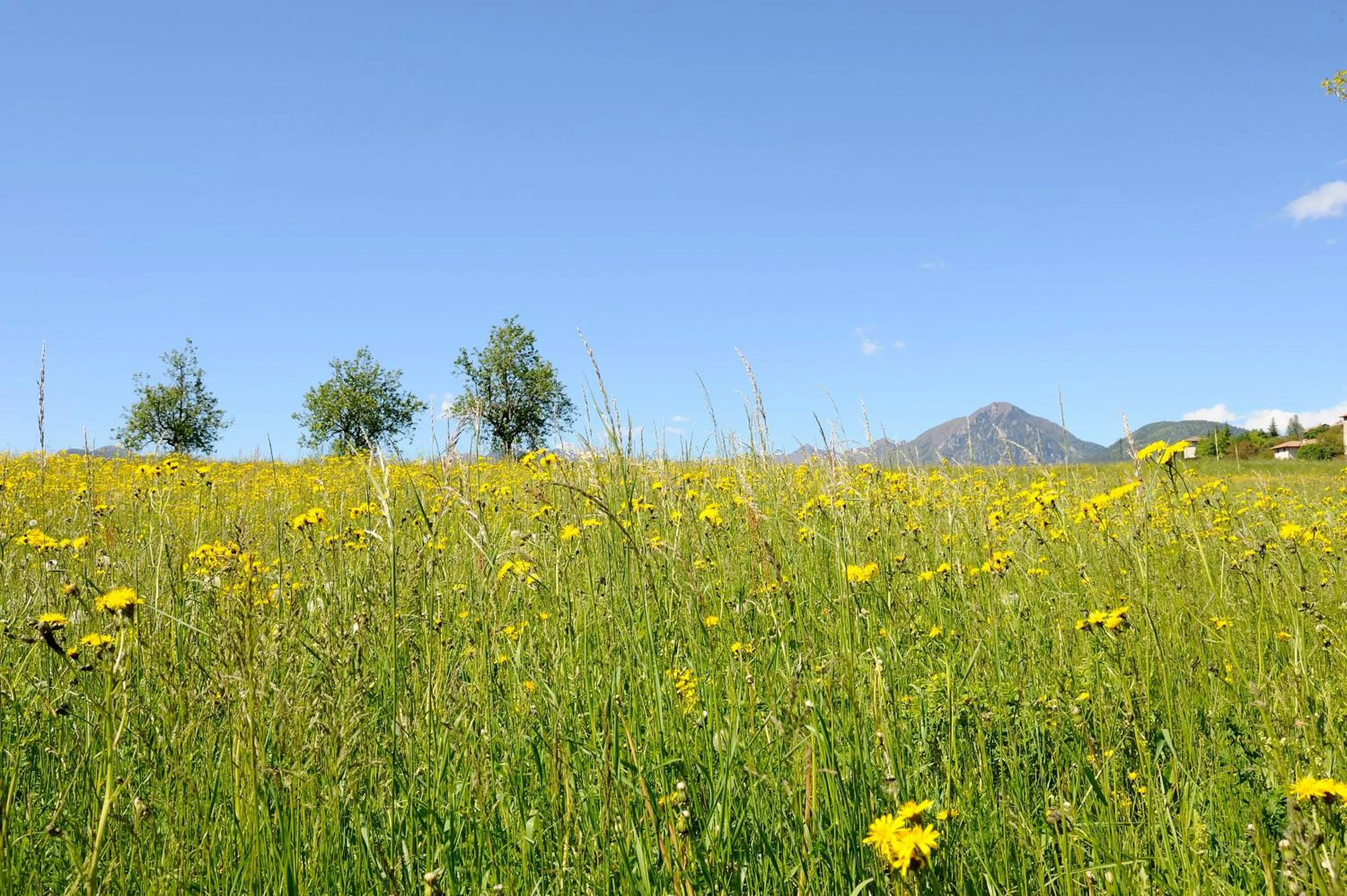 Natural landscape in Residenza Casale