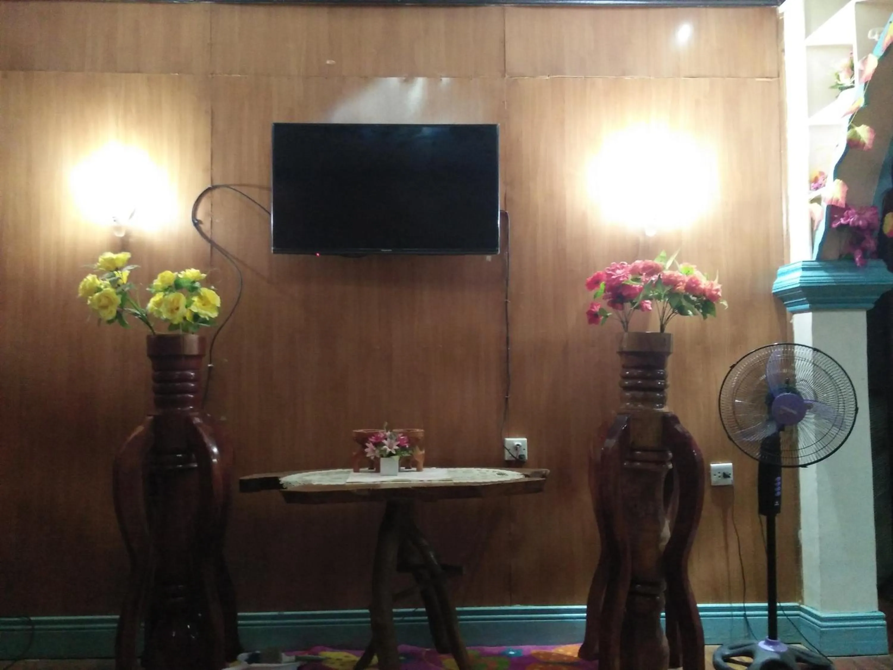 TV and multimedia in Villa Corrales Homestay