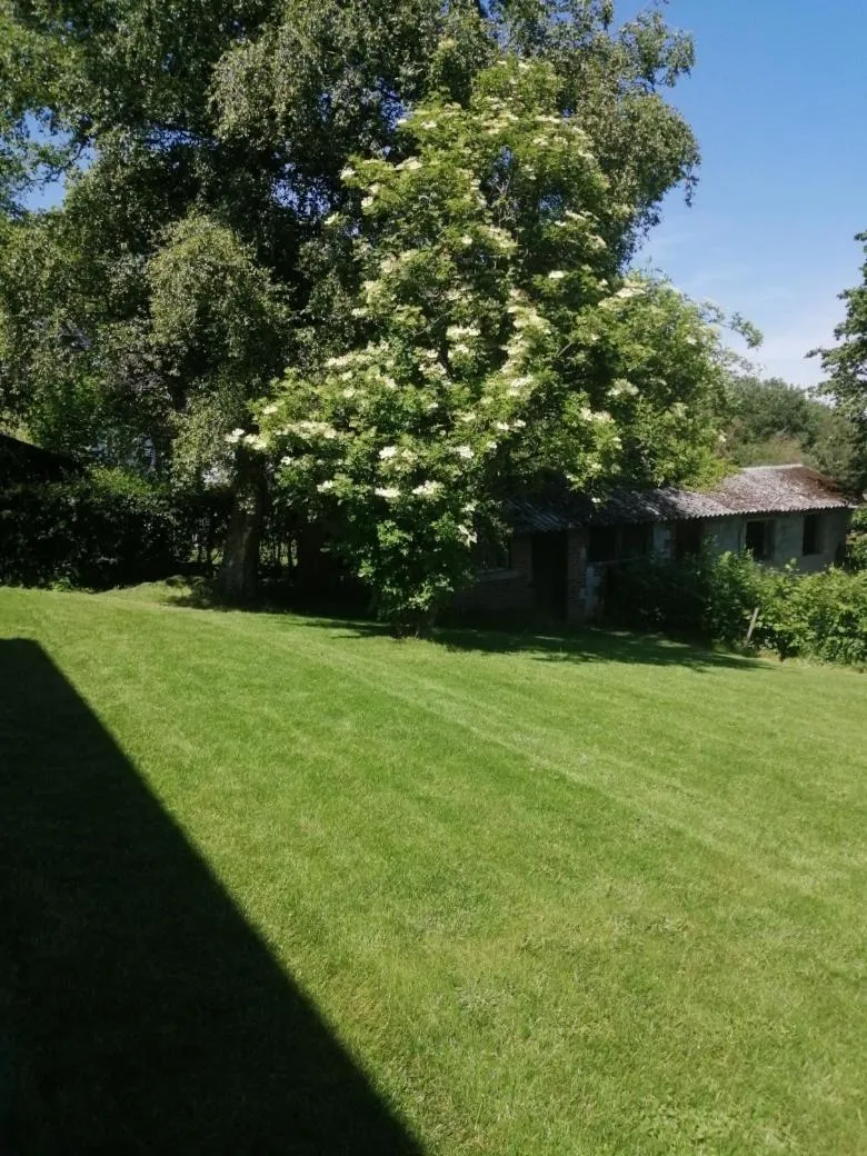 Garden in A La Reid Paisible