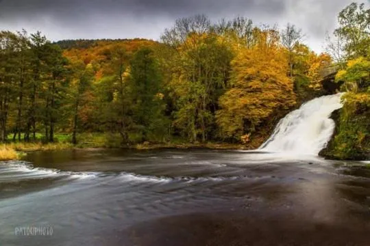Natural landscape in A La Reid Paisible