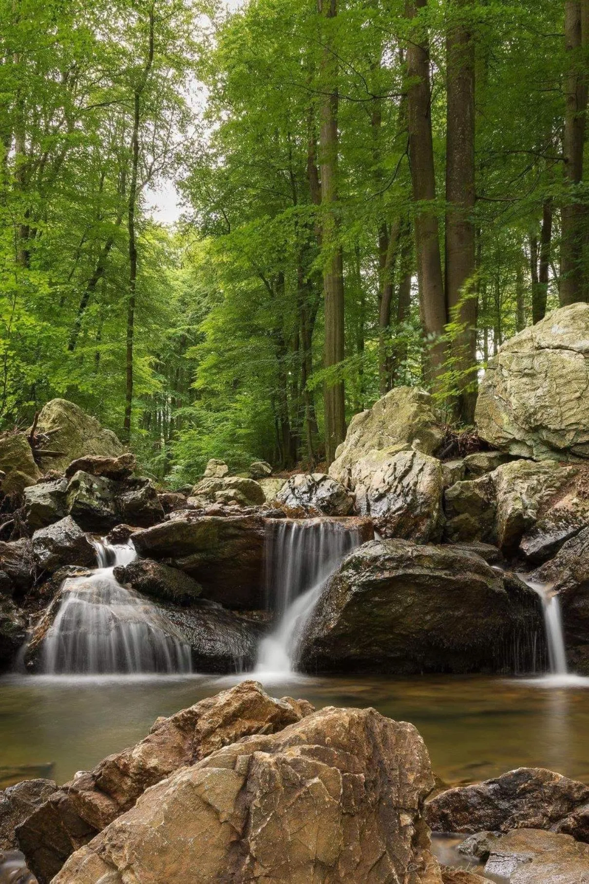 Natural landscape in A La Reid Paisible
