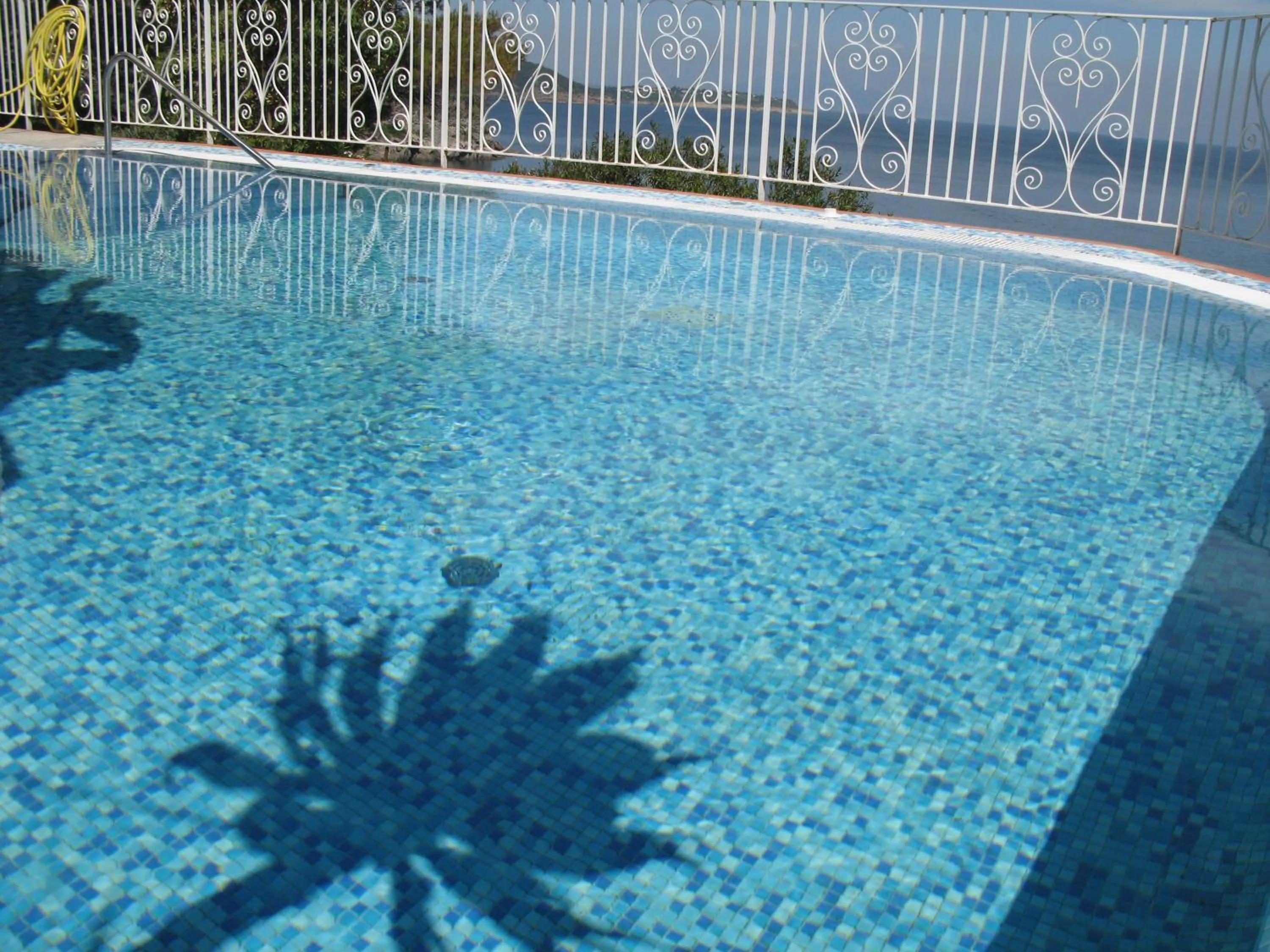 Swimming pool in Don Felipe Boutique Hotel