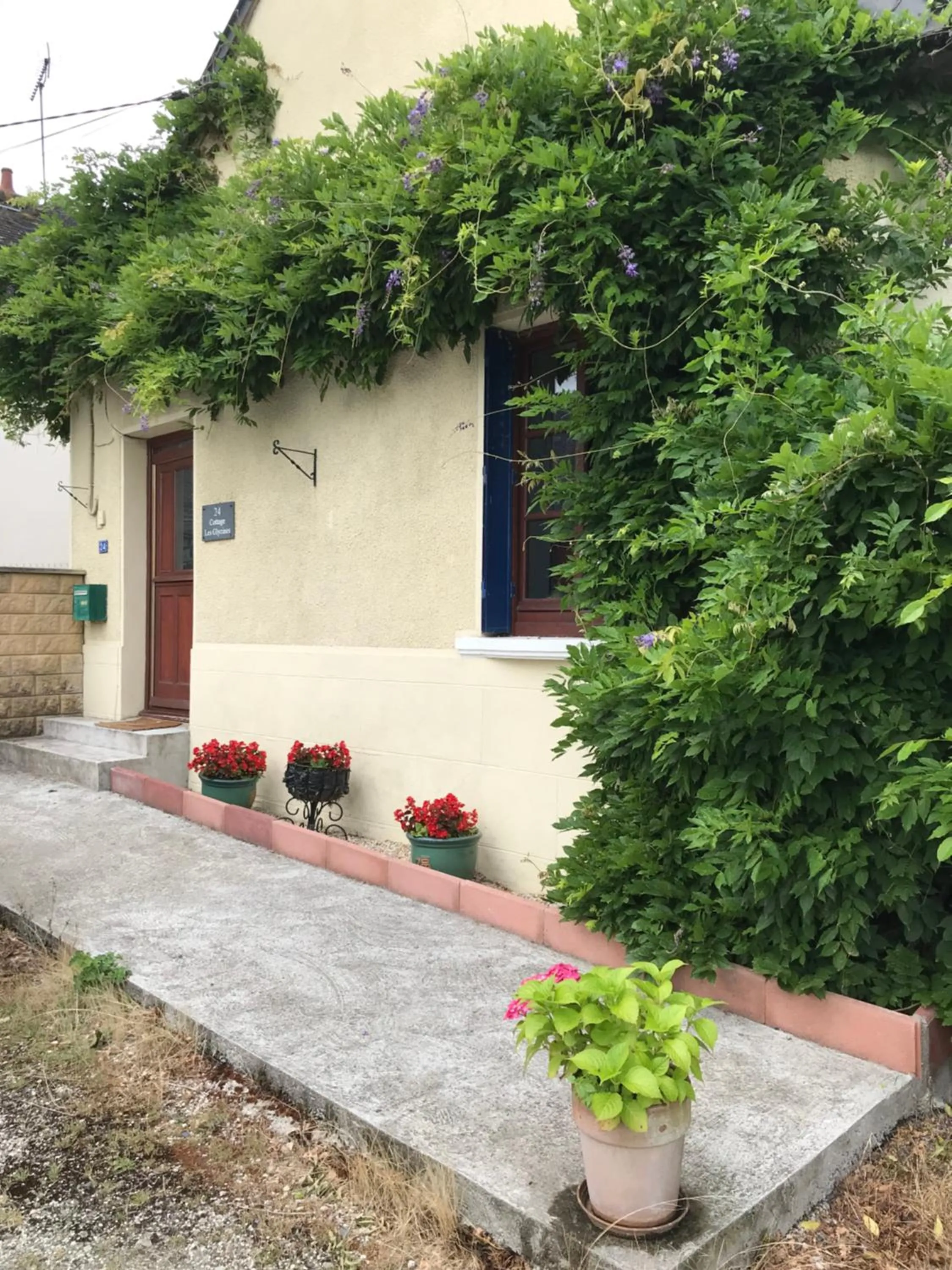 Property building in Cottage Les Glycines