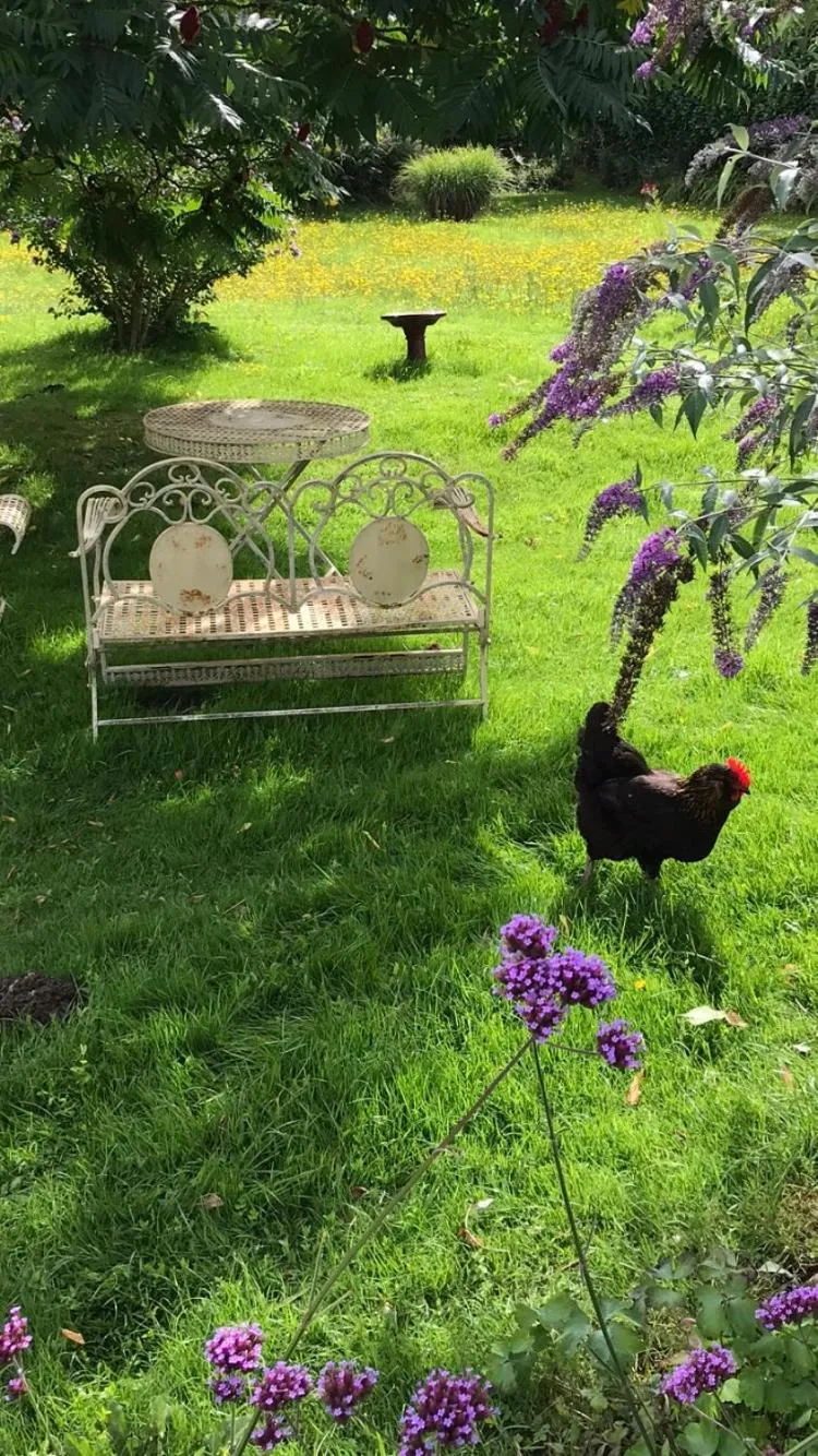 Garden in Cottage Les Glycines